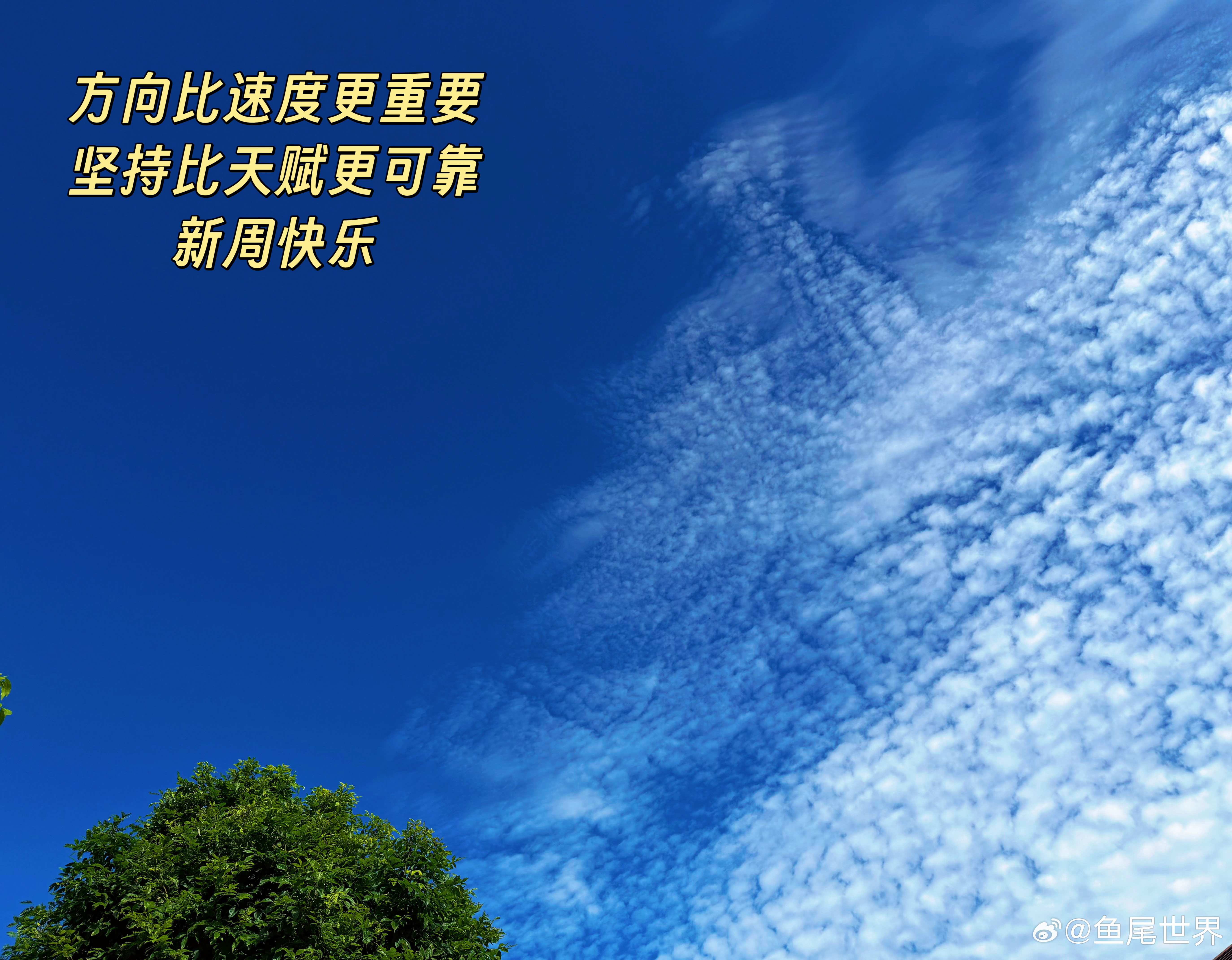 方向比速度更重要，坚持比天赋更可靠。新周快乐🎉 泰国·Ekkamai (เอก