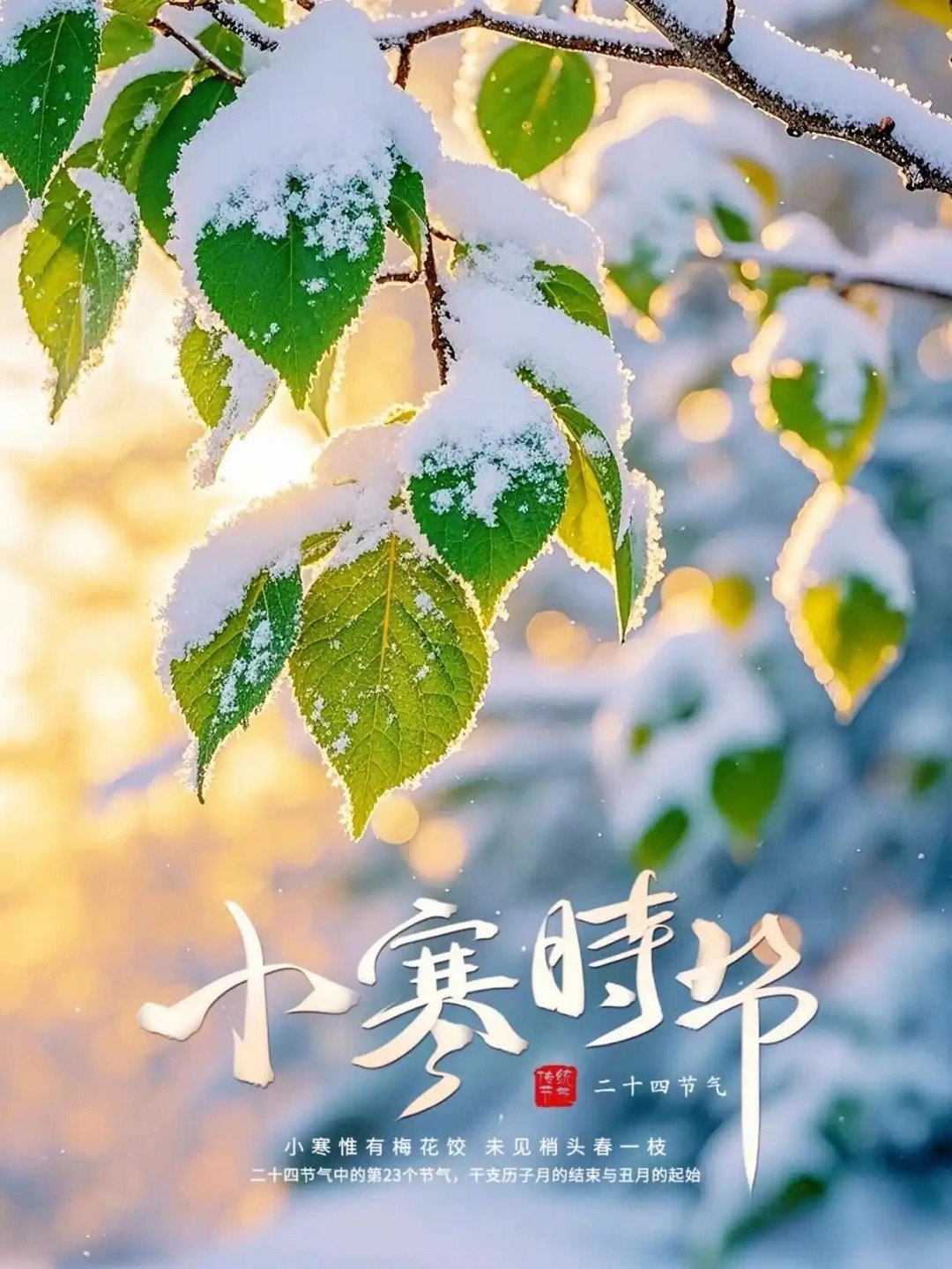 2026-1-5，星期一，晴☀️❄️ 小寒已至，春归有期，愿君衣裘暖，步履从容。