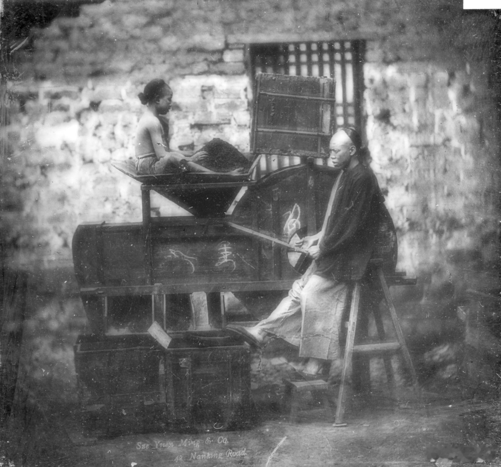 分捡茶叶，广州，1905年 ​​​