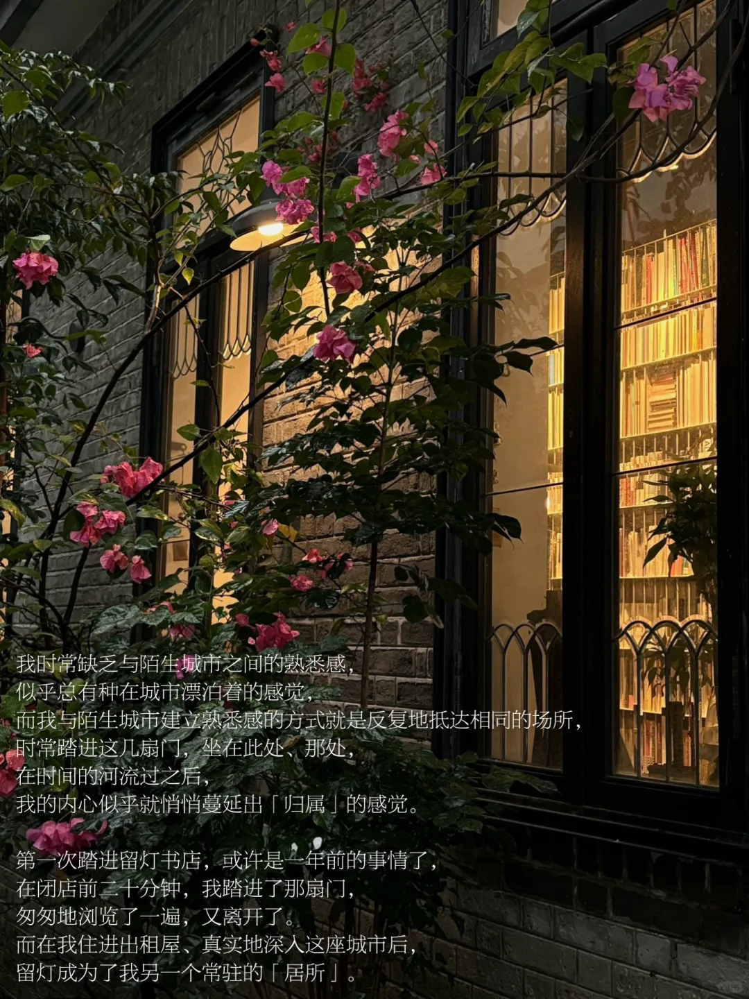 书店时常给予我一种平静又温暖的幻觉。