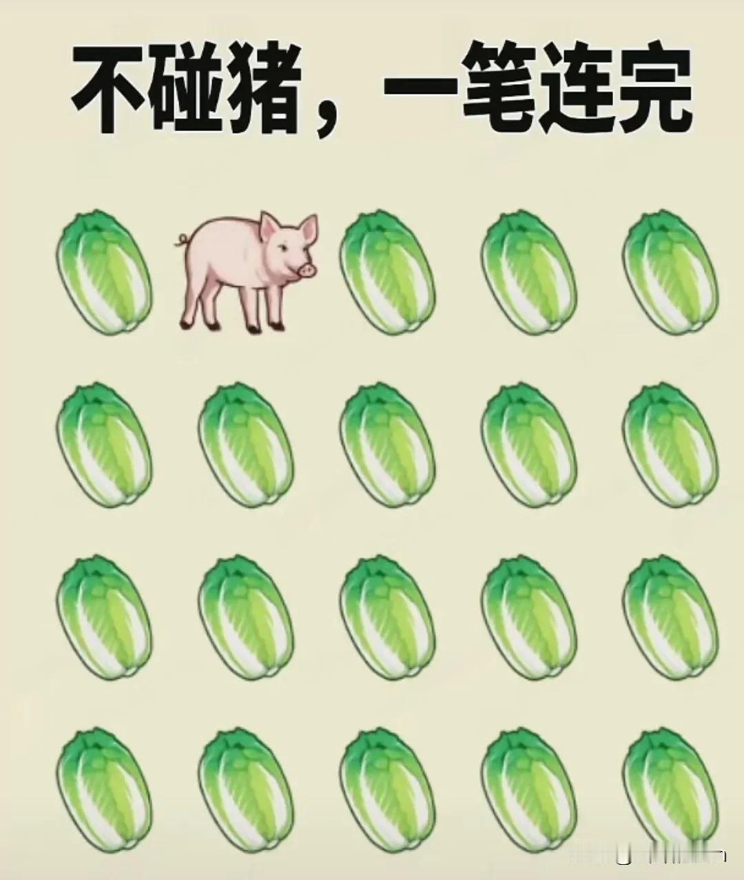不碰猪，一笔连完！
这道猪拱好白菜题，需要您稍微动动你的聪明脑筋才能一笔连完，说