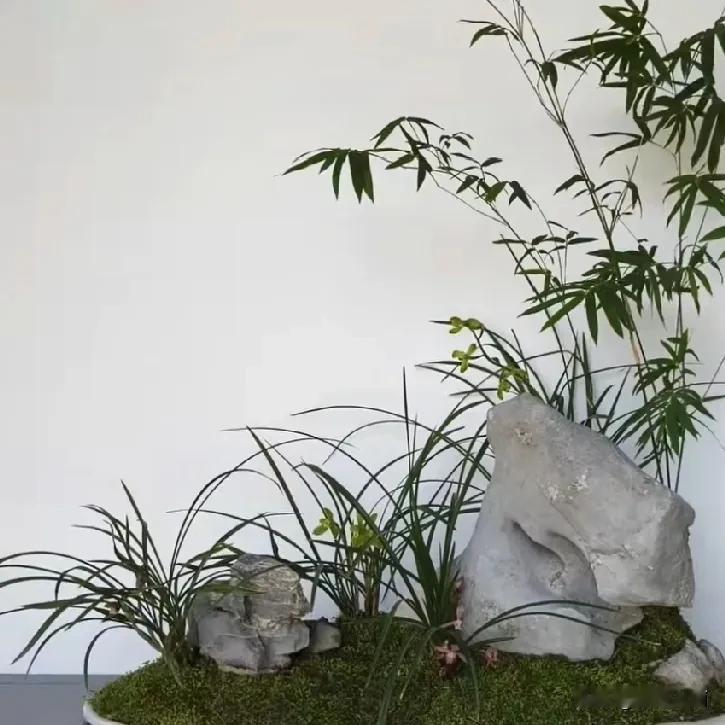 家有兰花，室雅人和。
是不是这样子的呢？自从我养兰花，越来越觉得这是真的。
首先