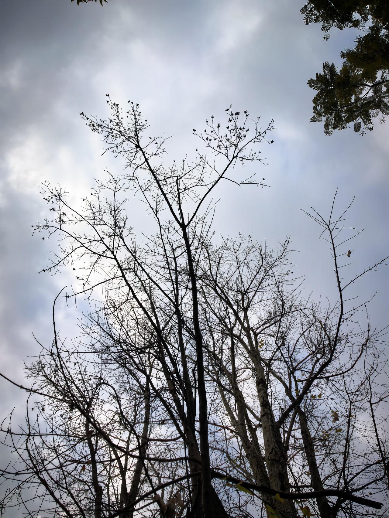我原来总以为，对于自己最亲的人，无论什么样的处境都会有百分百的耐心。

但是在现