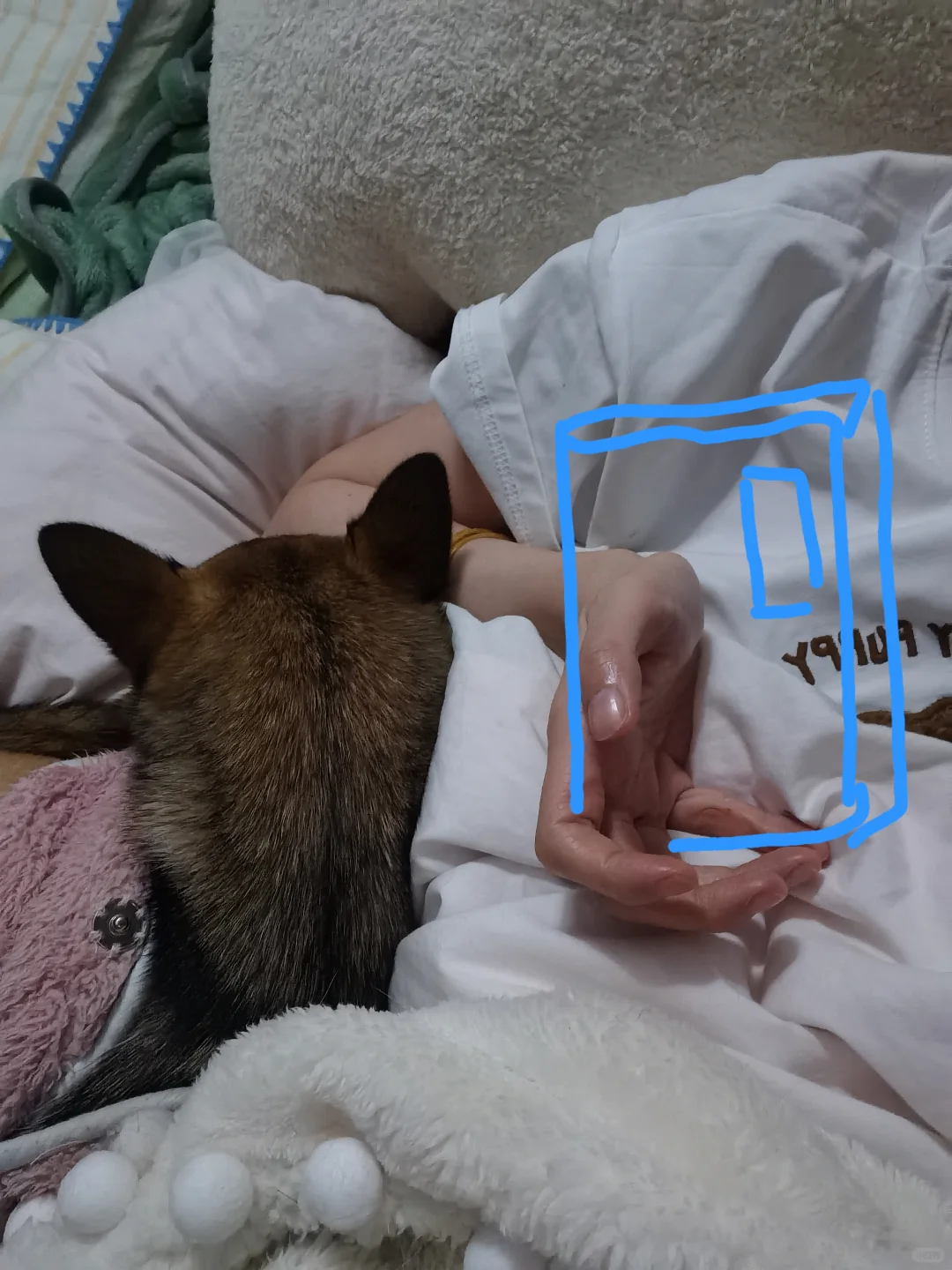 妈咪酱玩手机，小桶贴贴一起睡觉