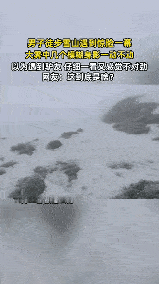 云南一男子爬雪山，爬到一半，突然发现前方出现几个模糊身影，他以为是“驴友”，结果