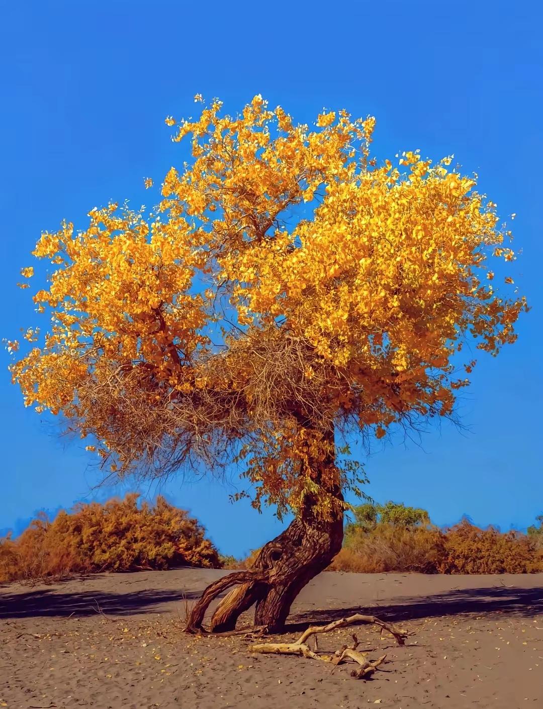 石缝里钻的草芽，顶开硬土时带着倔强的绿；冻河下潜游的鱼，摆尾间藏着未凉的生机。