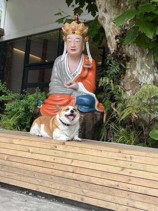 无语佛：小🐶合影笑那么开心干嘛