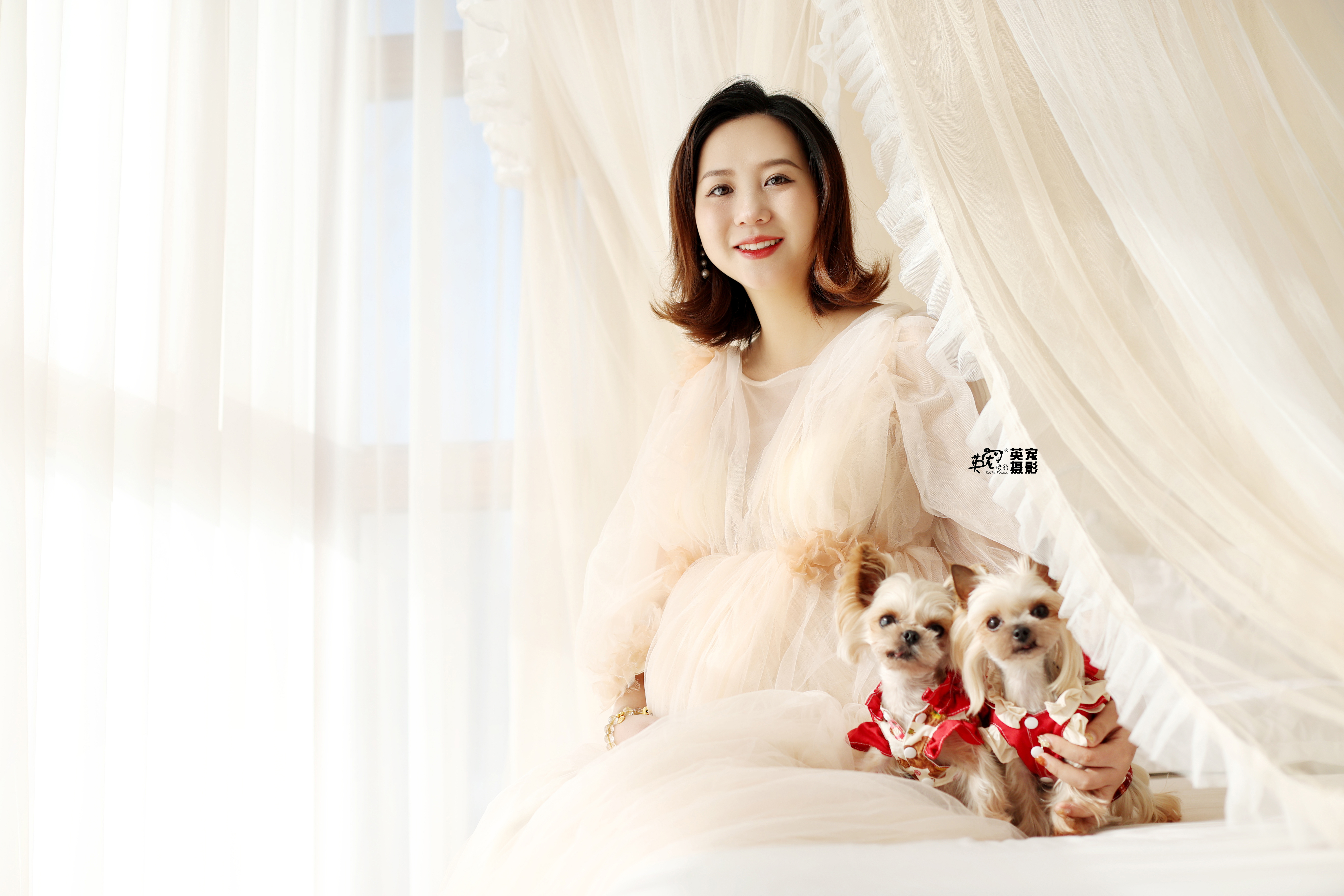 四个小可爱没错了！[憧憬]#爱宠物爱英宠摄影[超话]# #宠物摄影# #约克夏#