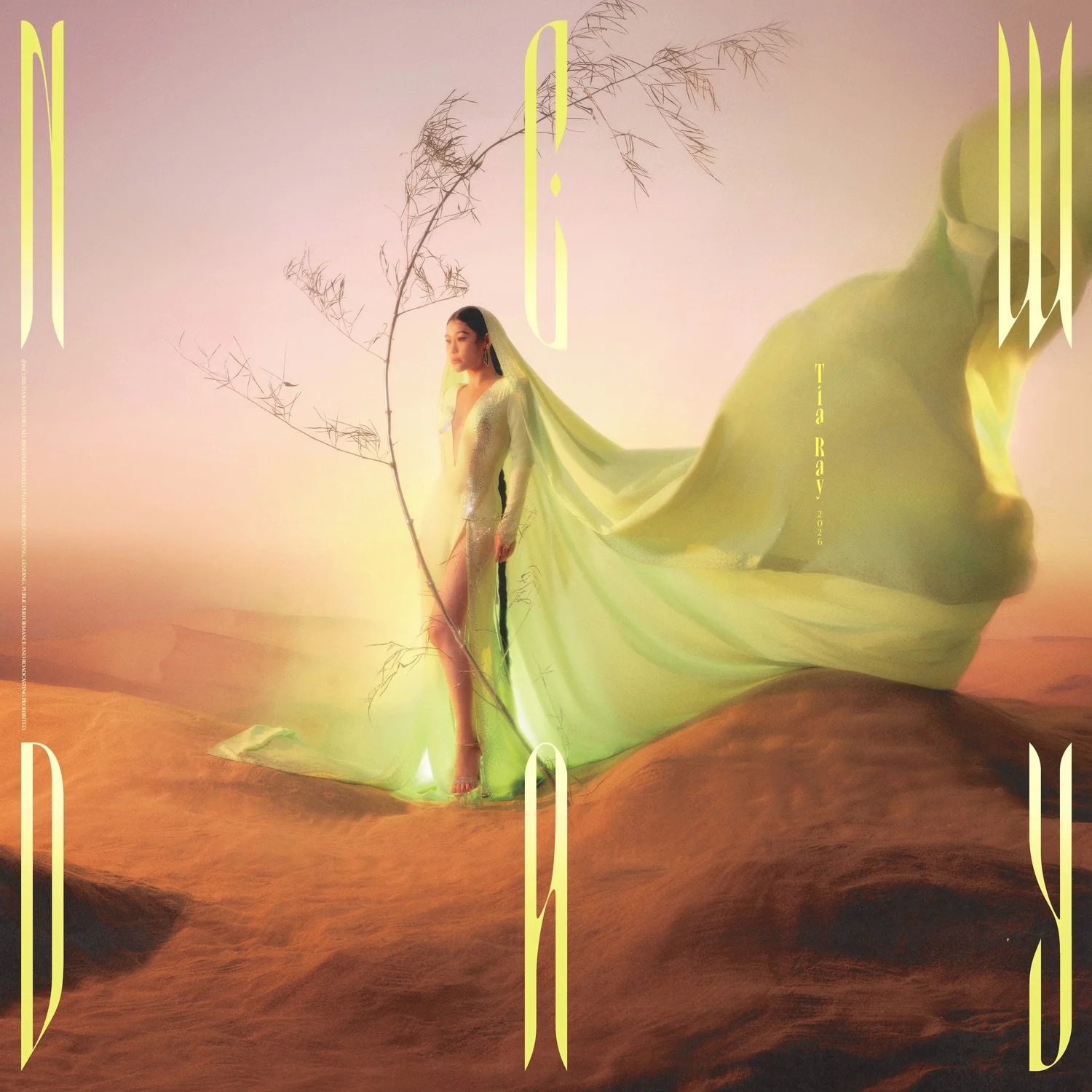 今天还能听到像袁娅维和蔡徐坤这样质量的专辑太难得了完整听完最直观的感受是他们一定