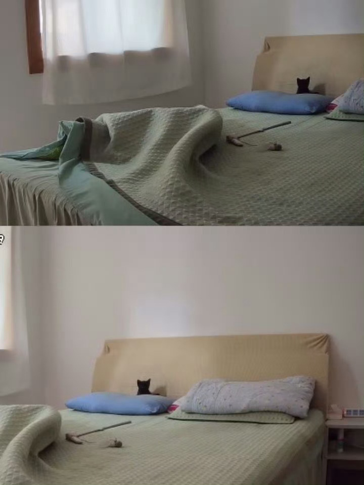 小猫把自己睡成小手套了 以防你没看过小猫把自己睡成小手套[允悲] ​​​