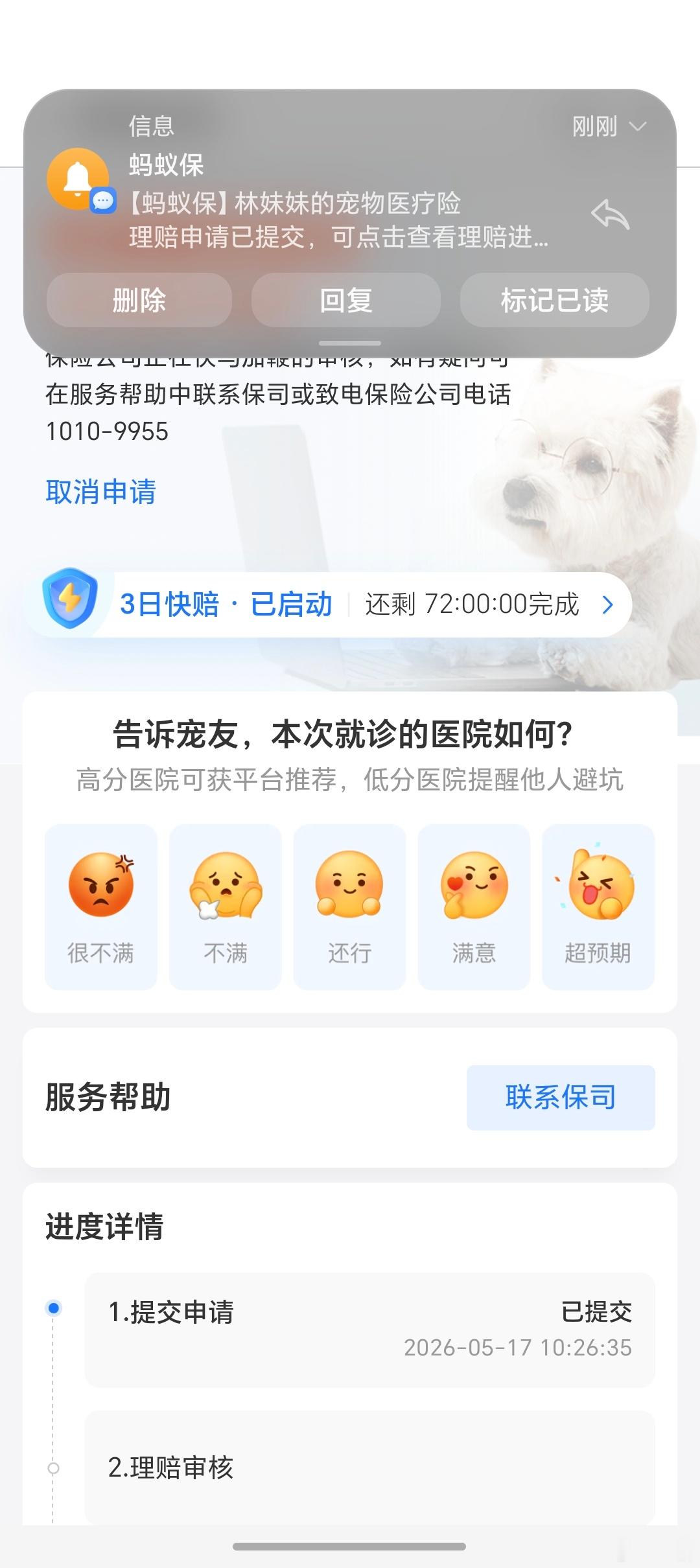 年轻人第一次报保险，是给猫的