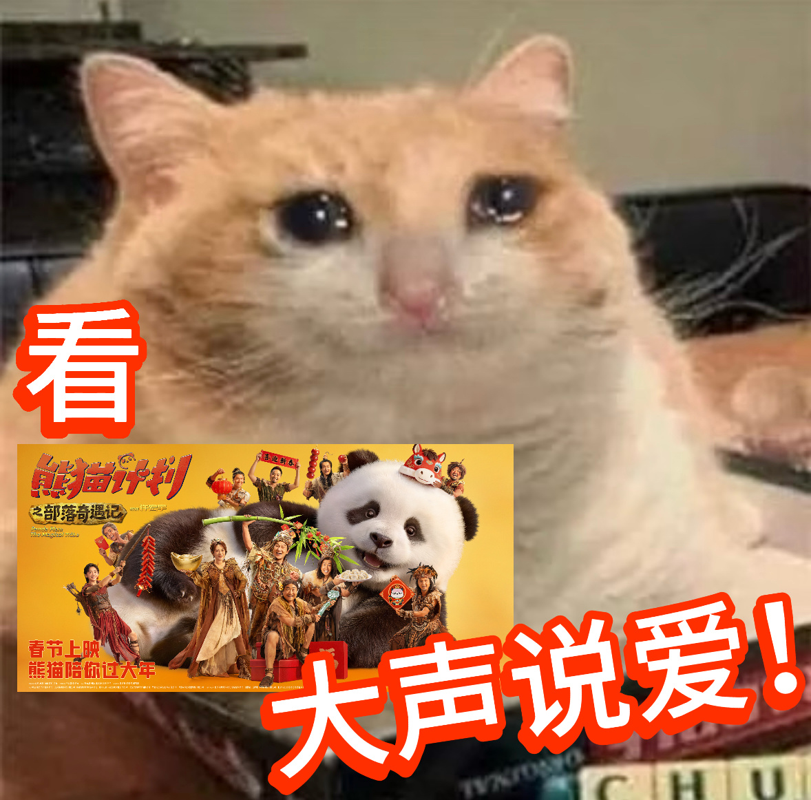 熊猫计划爱要勇敢说出来 马丽陪胡胡一起飞起的画面太温柔了，那些细碎陪伴织就的妥帖
