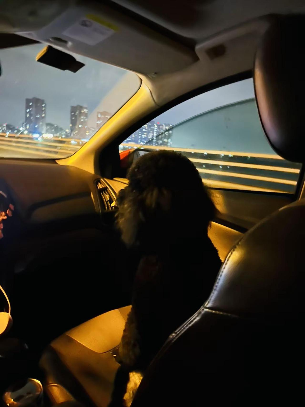 旅行到家欧耶✌🏻