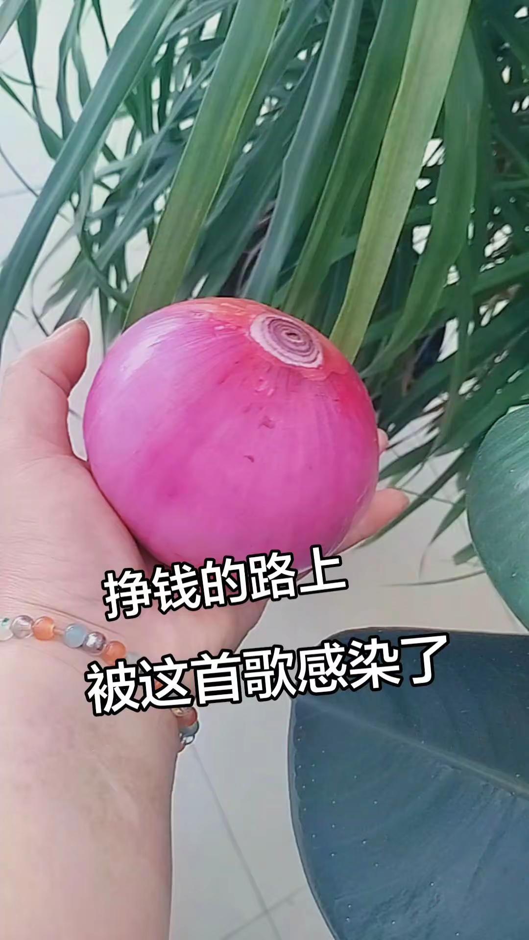 致敬每一位辛勤劳动的朋友💪💪