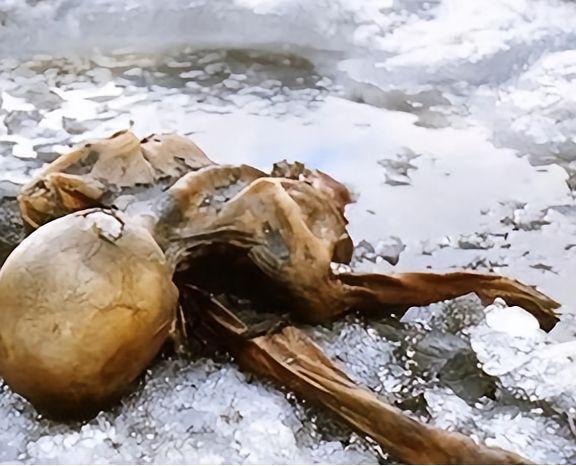 1991年，一对夫妻攀登3000米的阿尔卑斯山时，发现了一个趴在雪中的冰人。他右