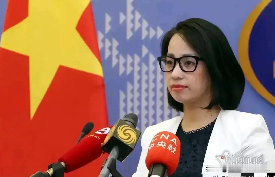 东亚波诡云谲，邻国陆续发声！

新加坡总理黄循财的拉偏架言论，一下子把自己被放到