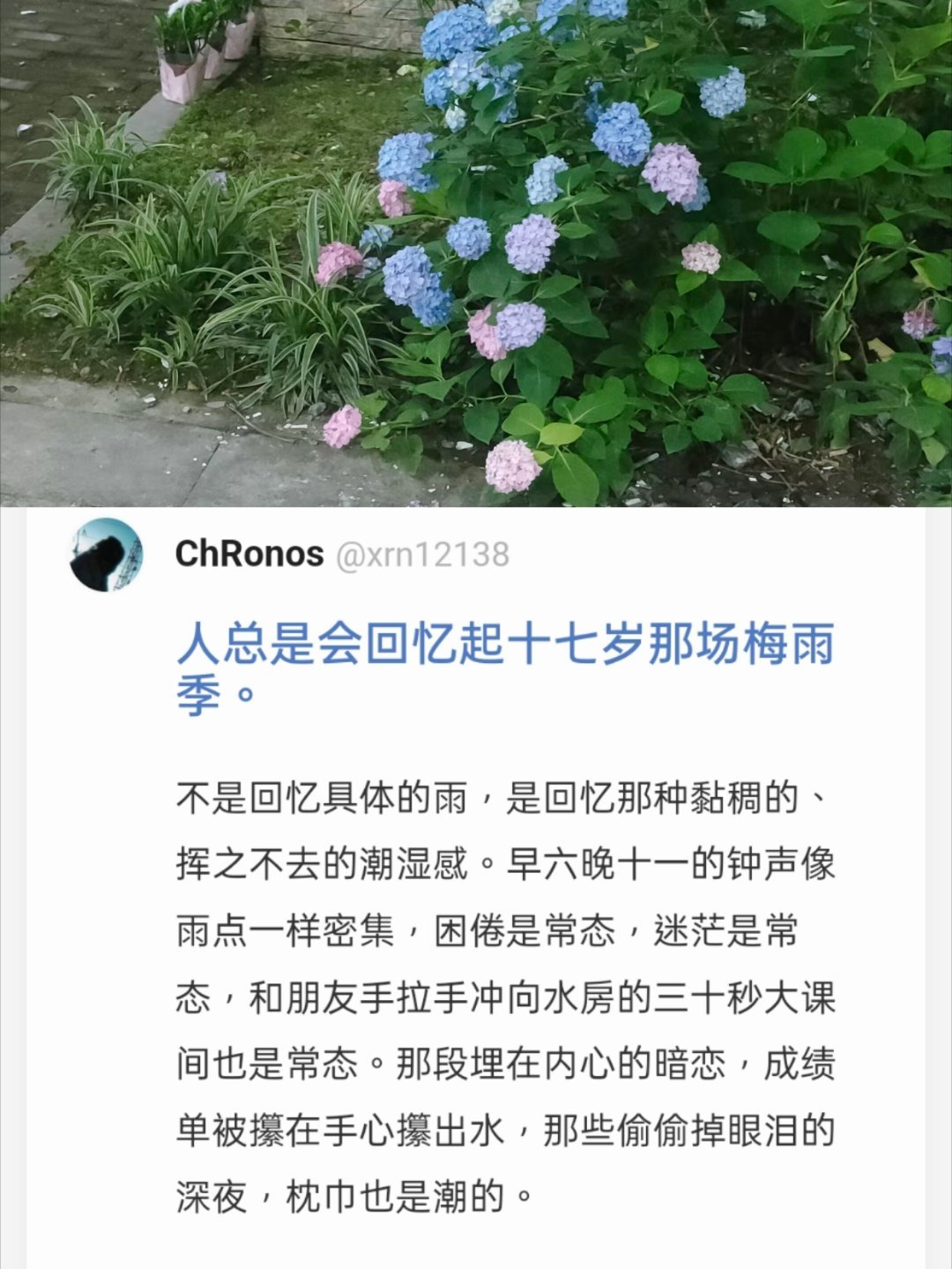 无以言表的日子里