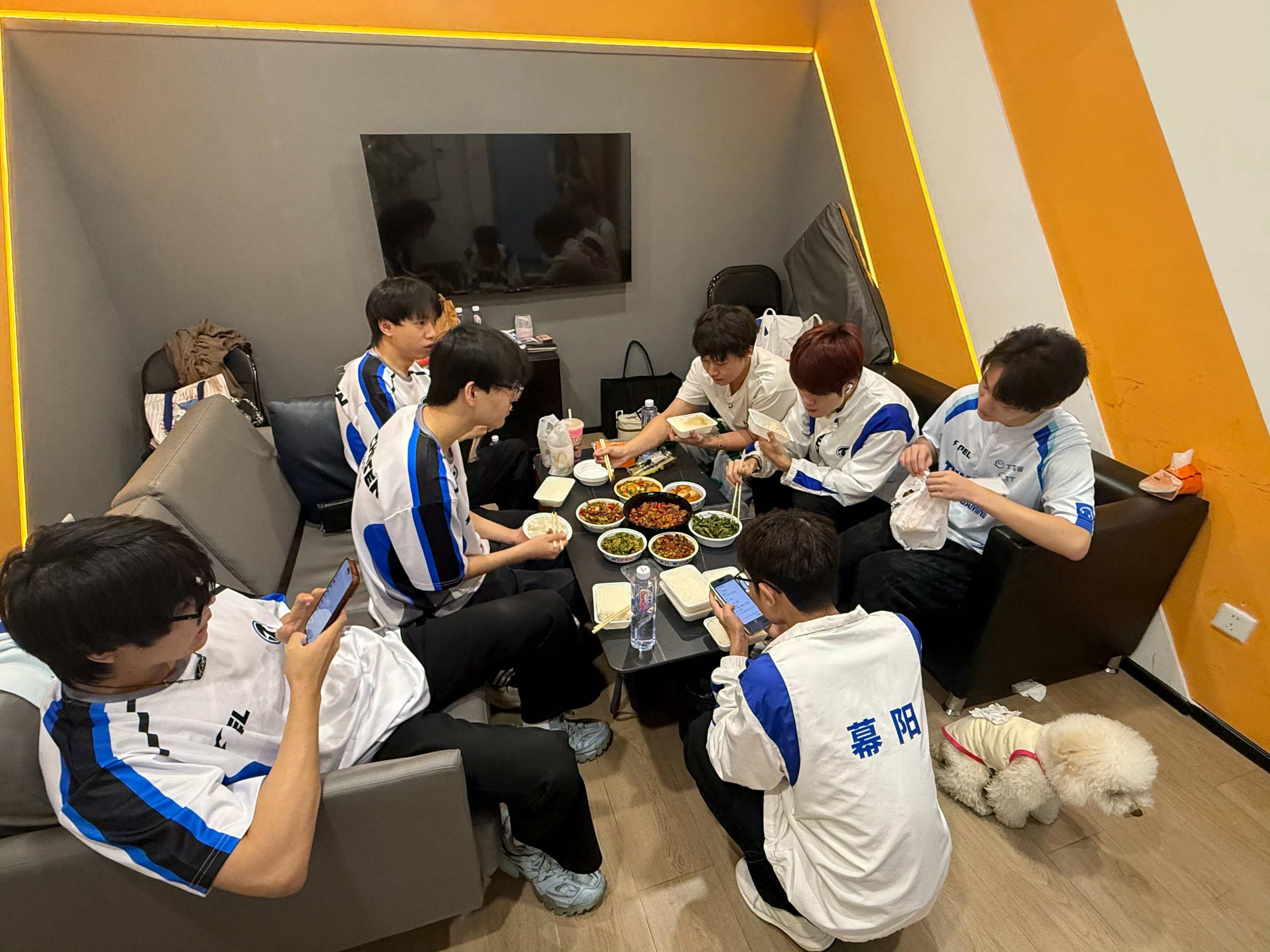 TC电子竞技俱乐部  少爷这么自律嘛pel夏季赛开局就是硬仗2026pel夏季赛