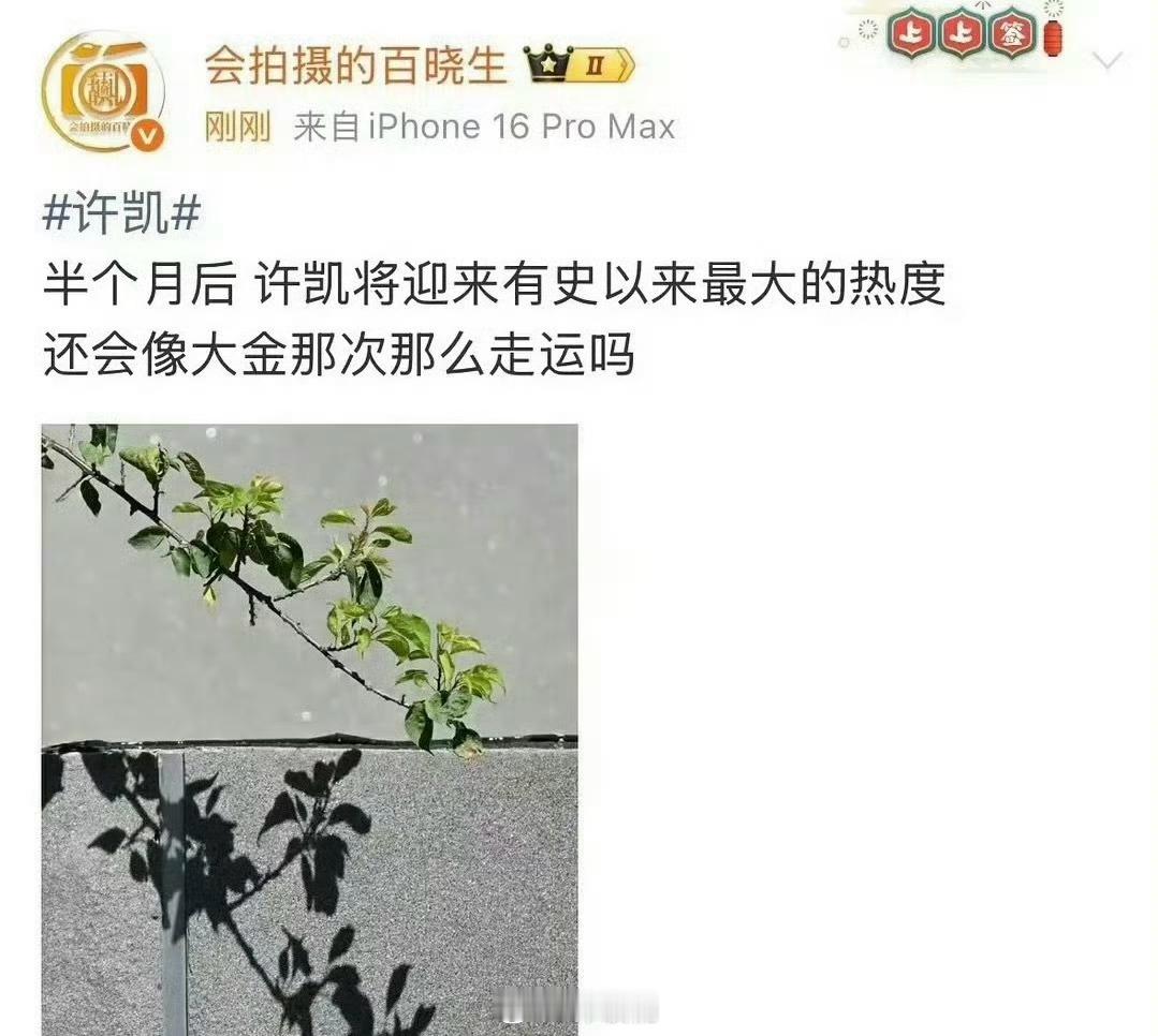 曝许凯将迎来有史以来最大的热度真看累了、、现在放🍉是有多爱预告… ​​​