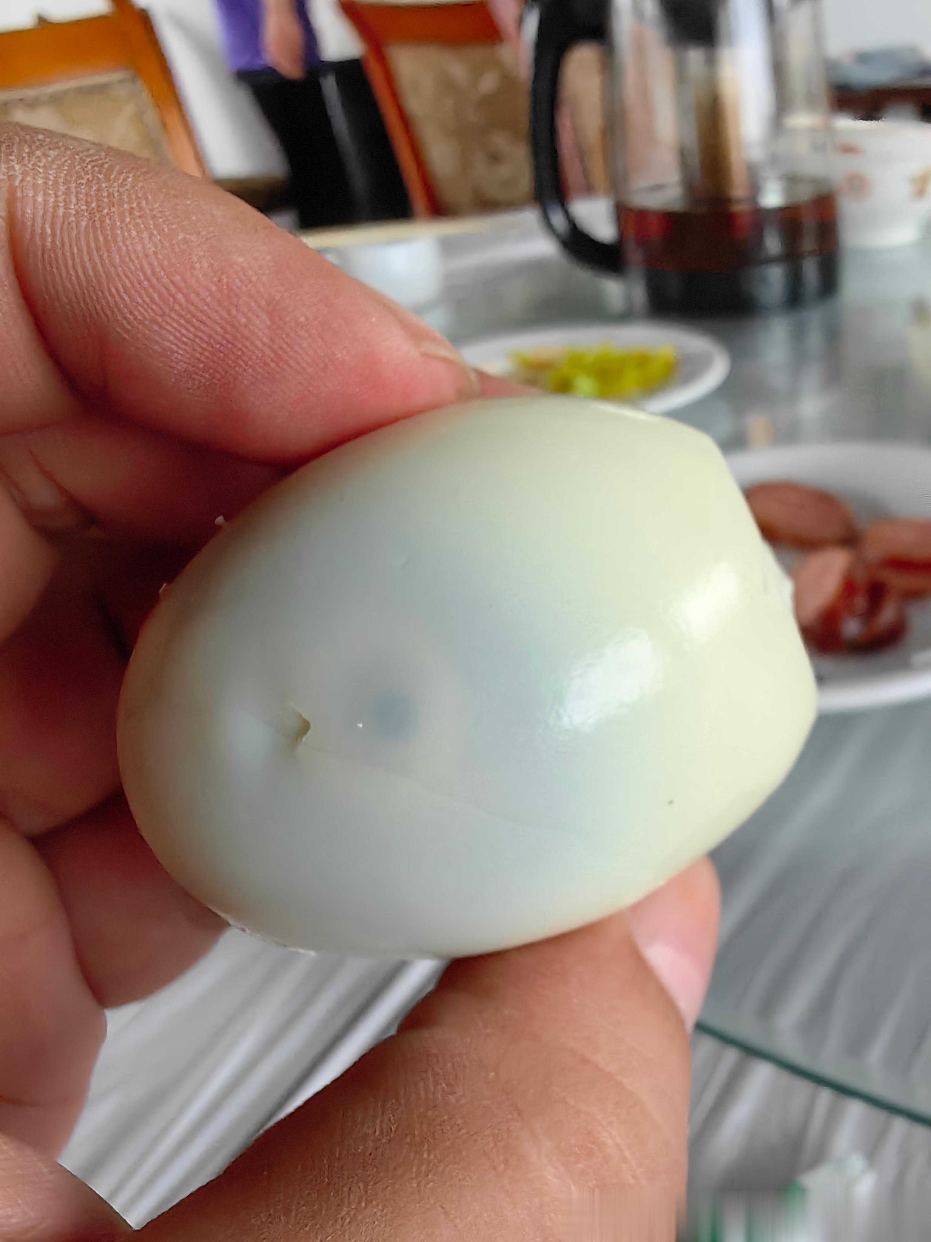 #张捷杂谈# 土鸡蛋受精卵，带一个小黑点，这个是胚胎！ ​​​