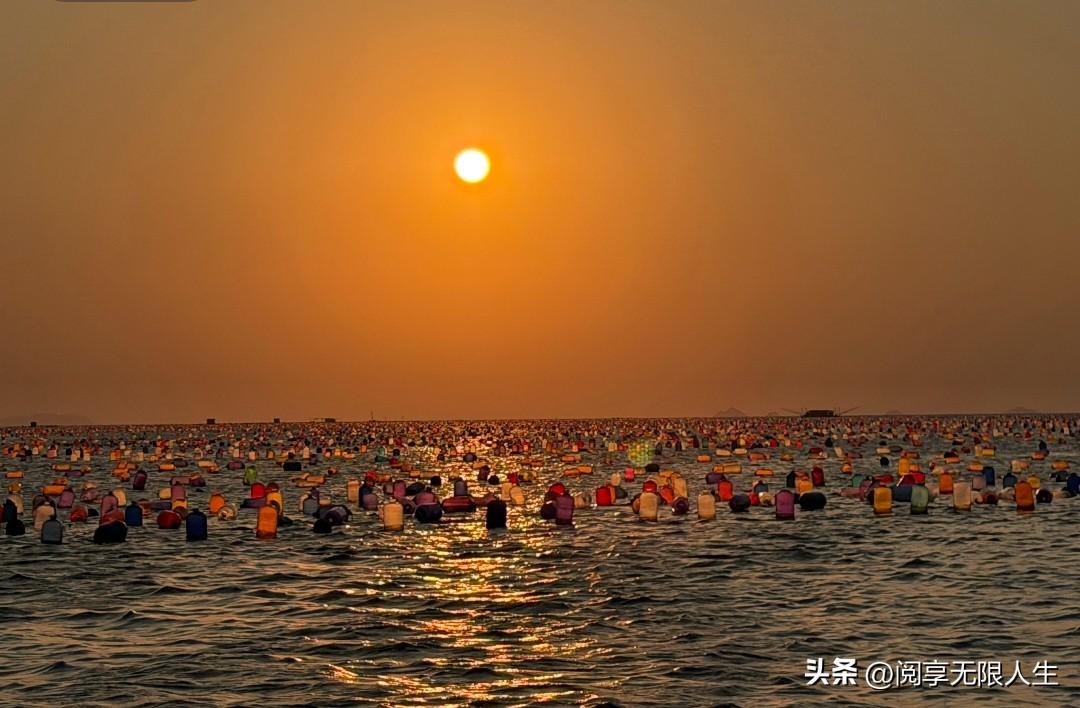 列夫-托尔斯泰说:
“只要养成不责怪别人的习惯，你会发觉，爱的能力在你的灵魂中滋