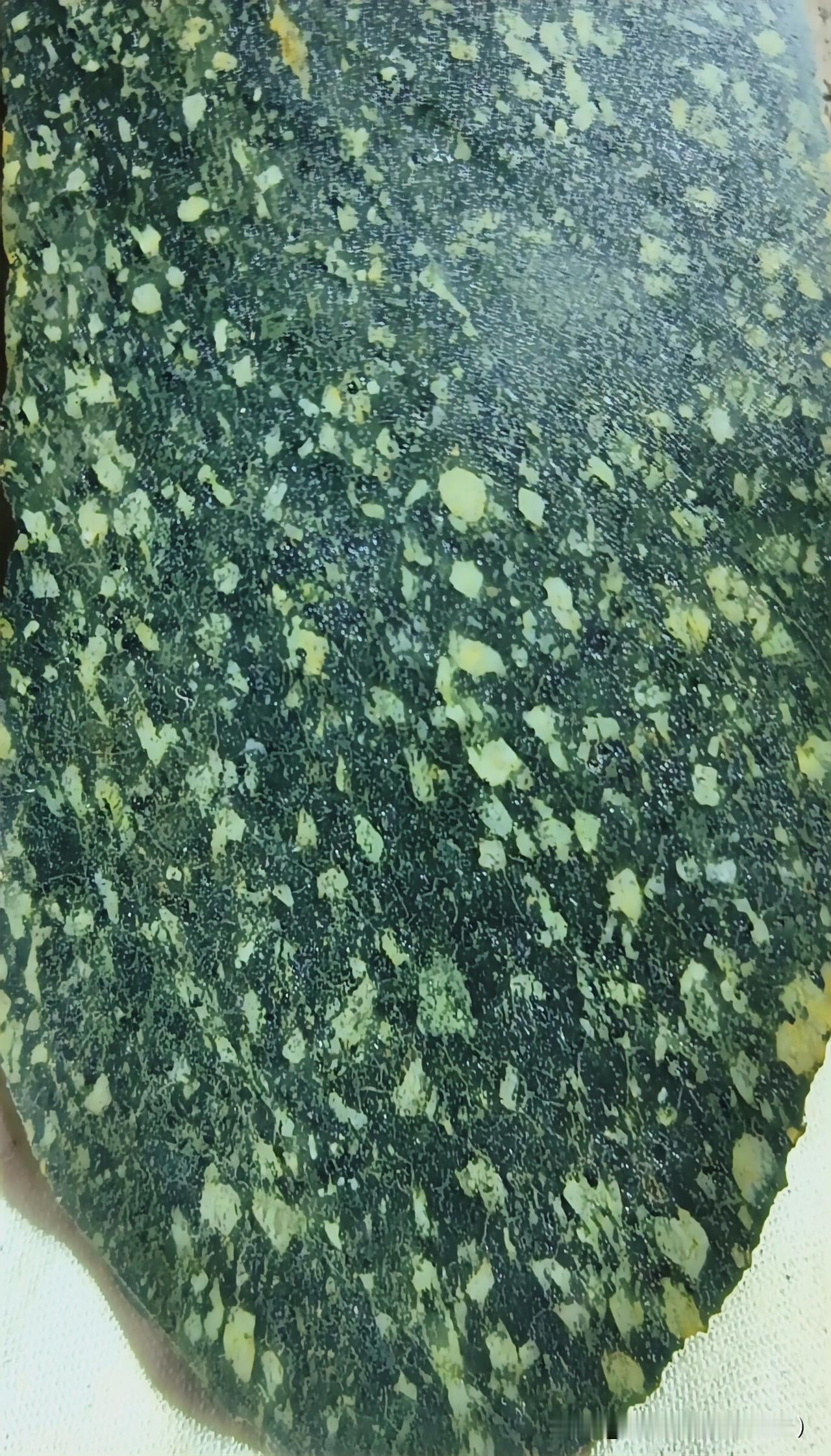 你懂稀有的月亮陨石,火星陨石吗?