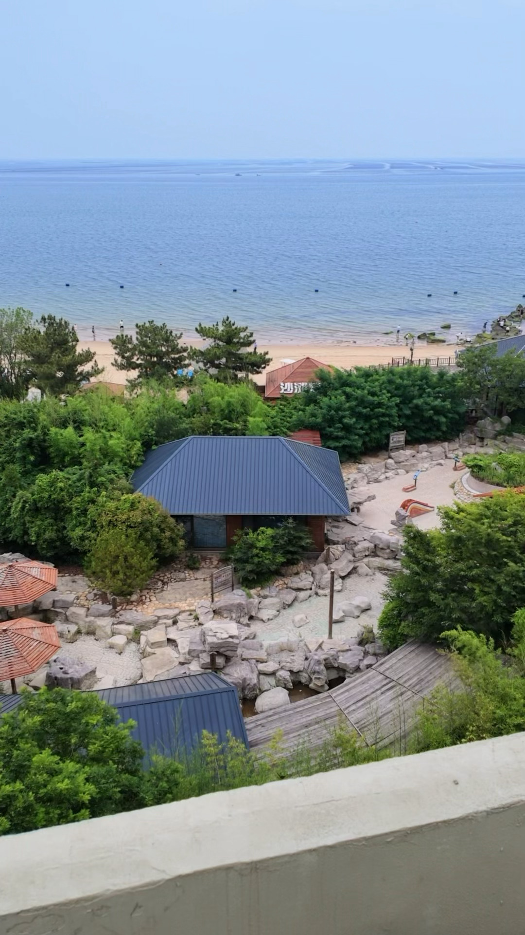 夏天就是适合去海边吹吹风🌊每次来海边住都觉得整个人慢下来了，早上推开阳台门就能