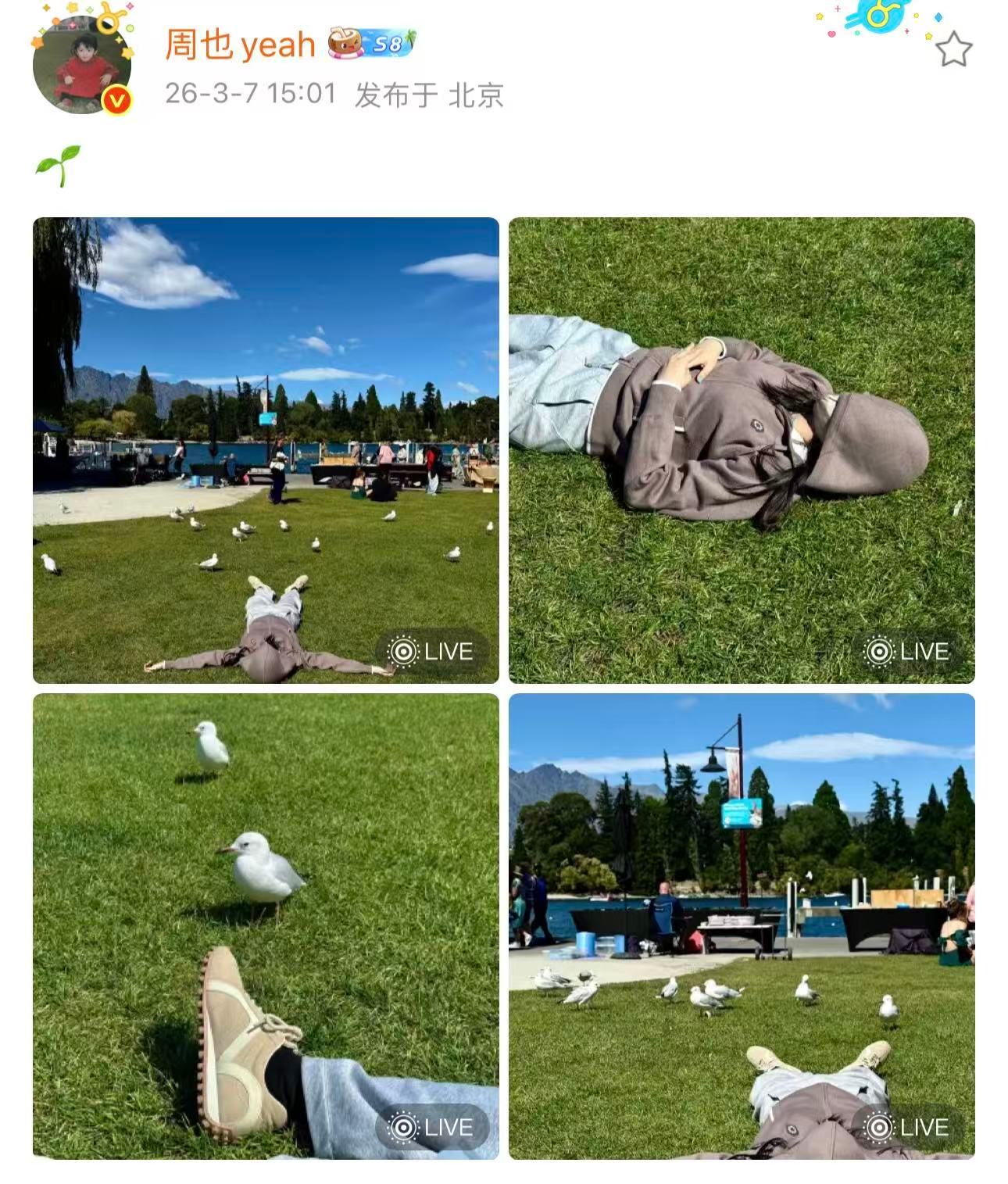周也在草地晒太阳 周也在草地晒太阳真的是好有活人感呀，春天就是应该要感受阳光，感
