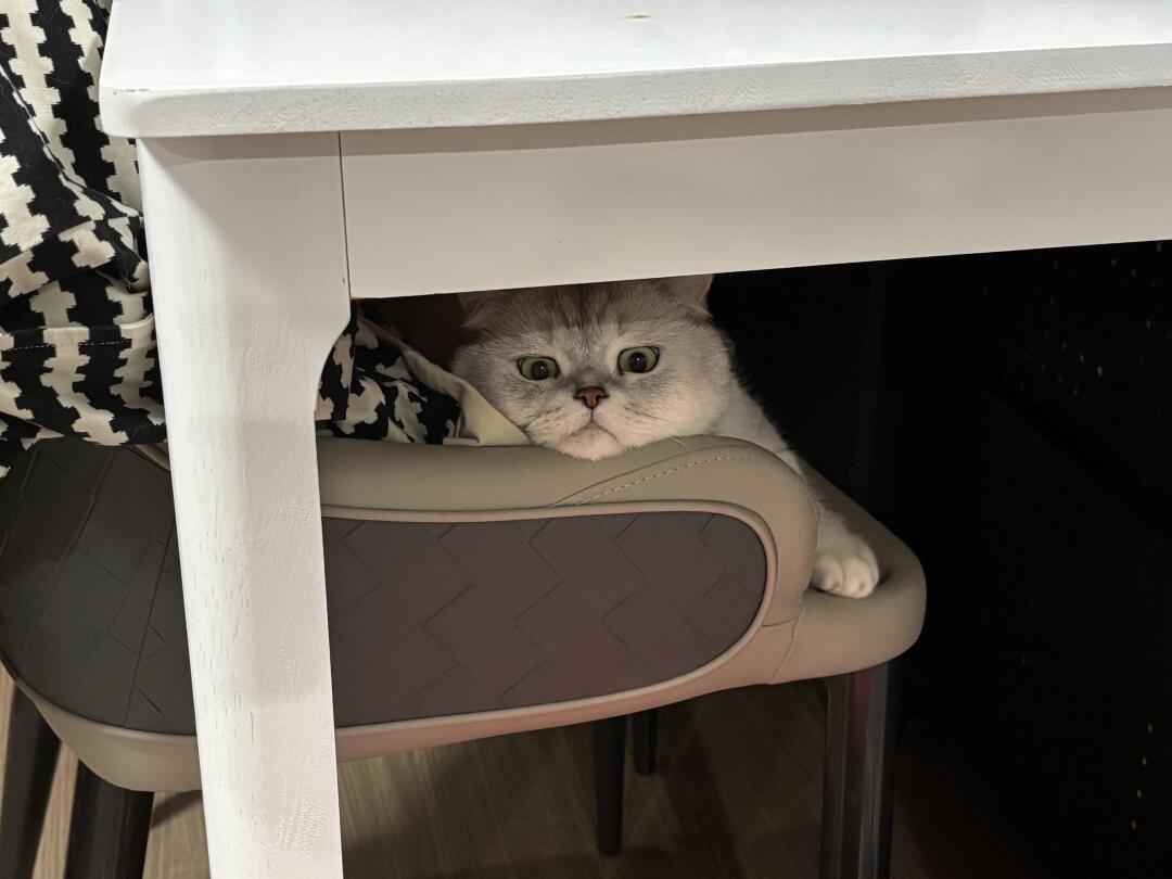 谁也受不了我的诱惑⌓‿⌓