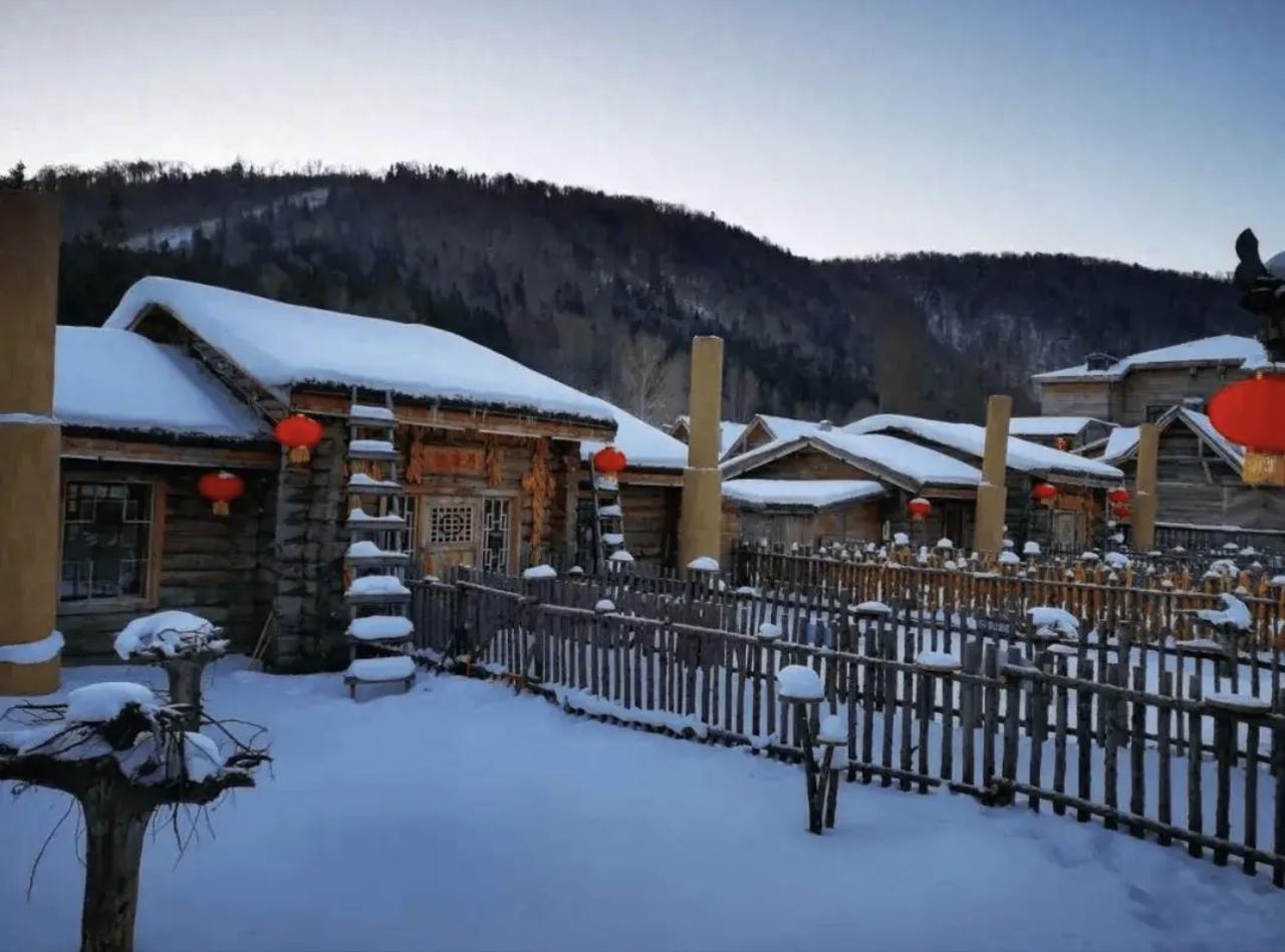 东北黑土地养人啊，黑龙江出个张雪峰，以一己之力捅了教育界肺管子！

吉林出个耿同