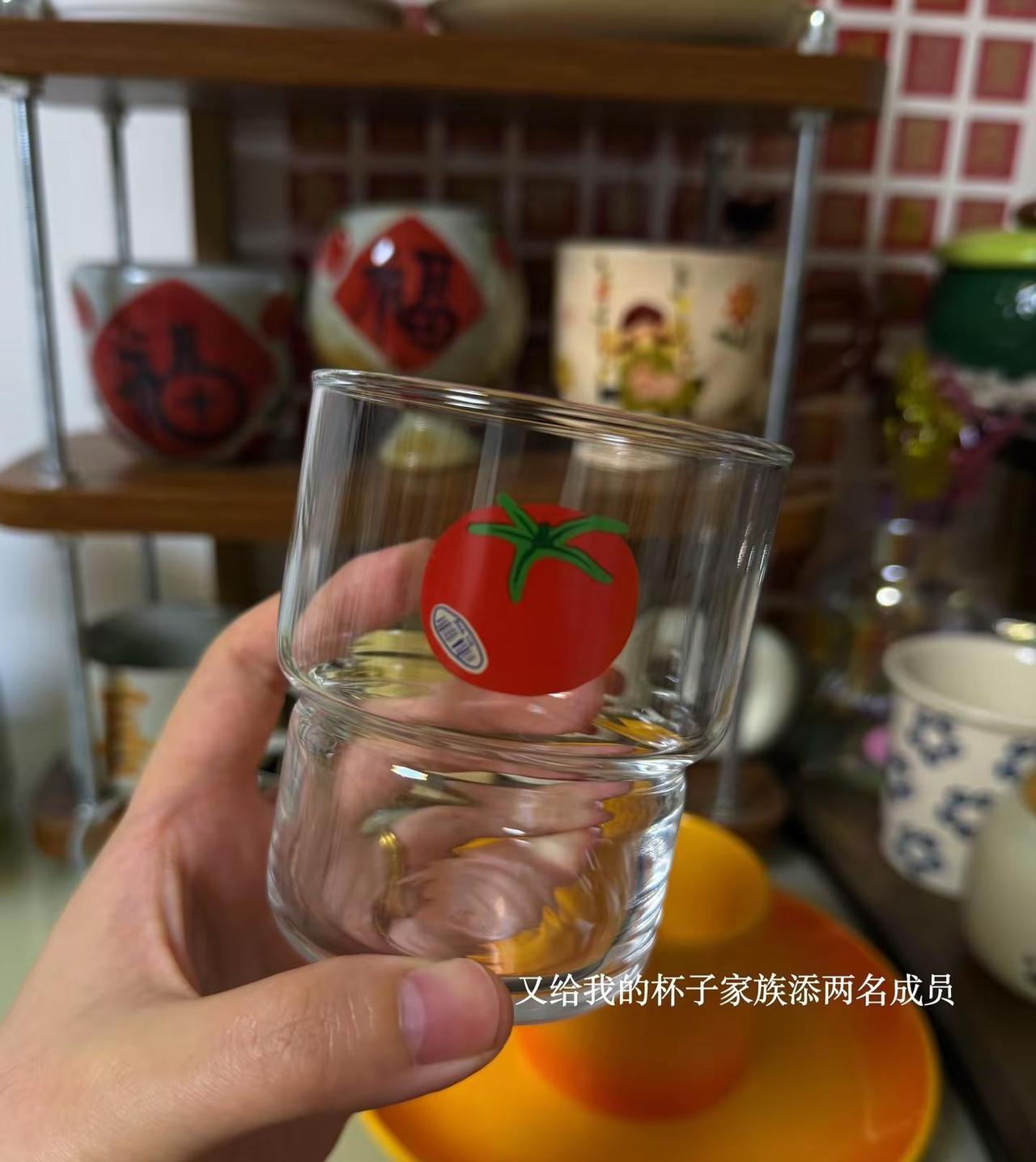 我自安于一隅，不逐风月，不赶人潮，不慌不忙，不攀不比，负能量的牢骚扰不到我，不切