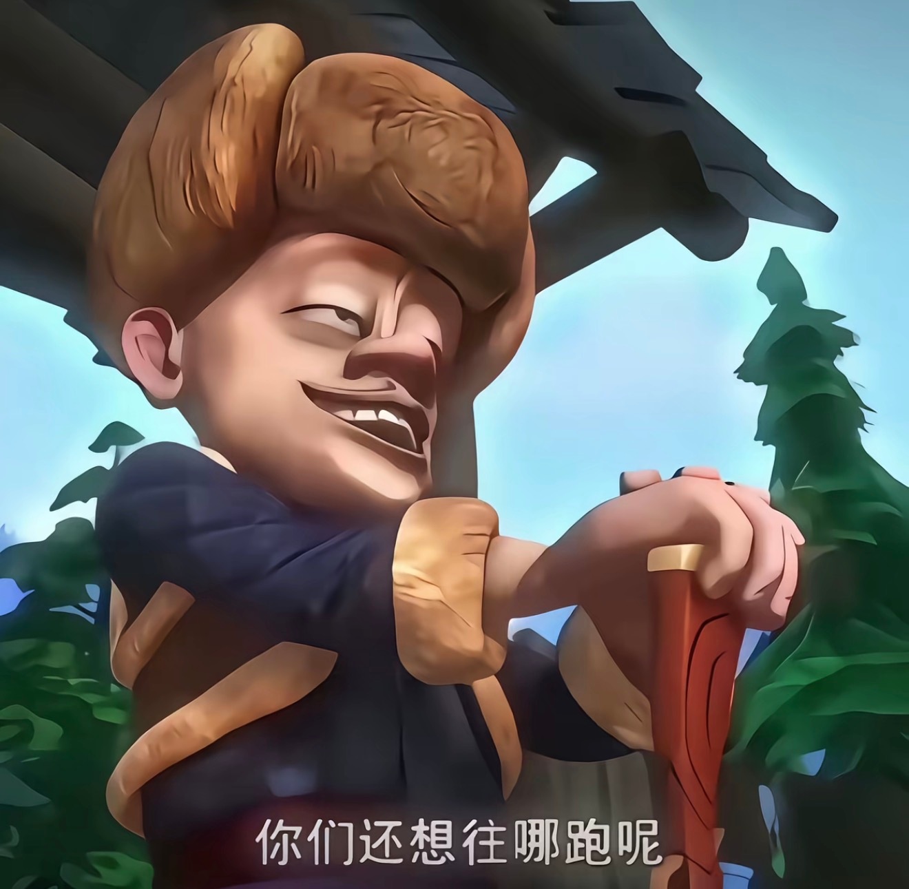 分享图片 ​​​