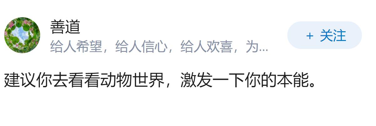 33，想尽快结婚，怎么入局？