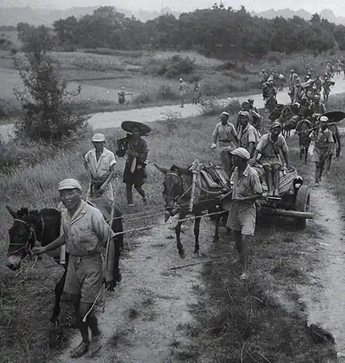 1927年，运输队突遇大雾，团长急令快撤走，不料竟撞进日军包围圈。
这支运输队归