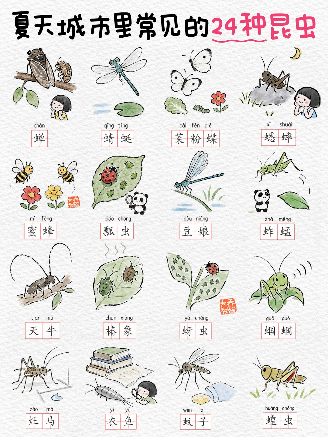夏天城市里常见的24种昆虫，你见过几种❓