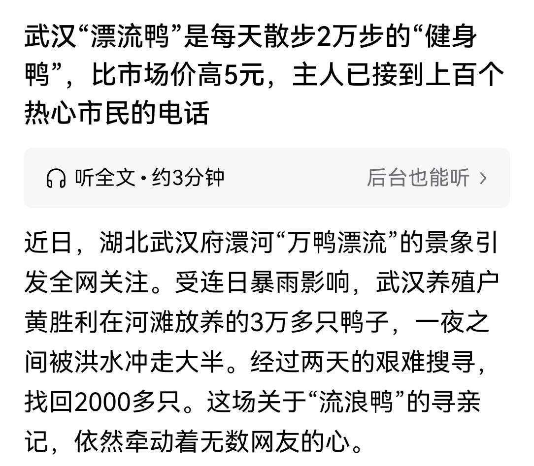 自从武汉府澴河“万鸭漂流”的事情火了以后，这群鸭子的命运就让很多人牵肠挂肚，有人