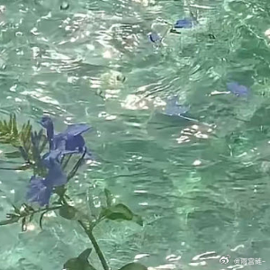 每日一善  💫阳光信用 💫每日一善请相信，这个世界上真的有人在过着你想要的生