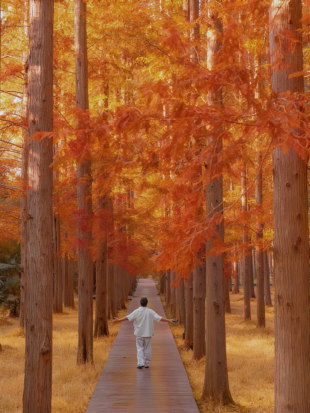 江苏盐城，我今年去过最喜欢的一座城市‼️