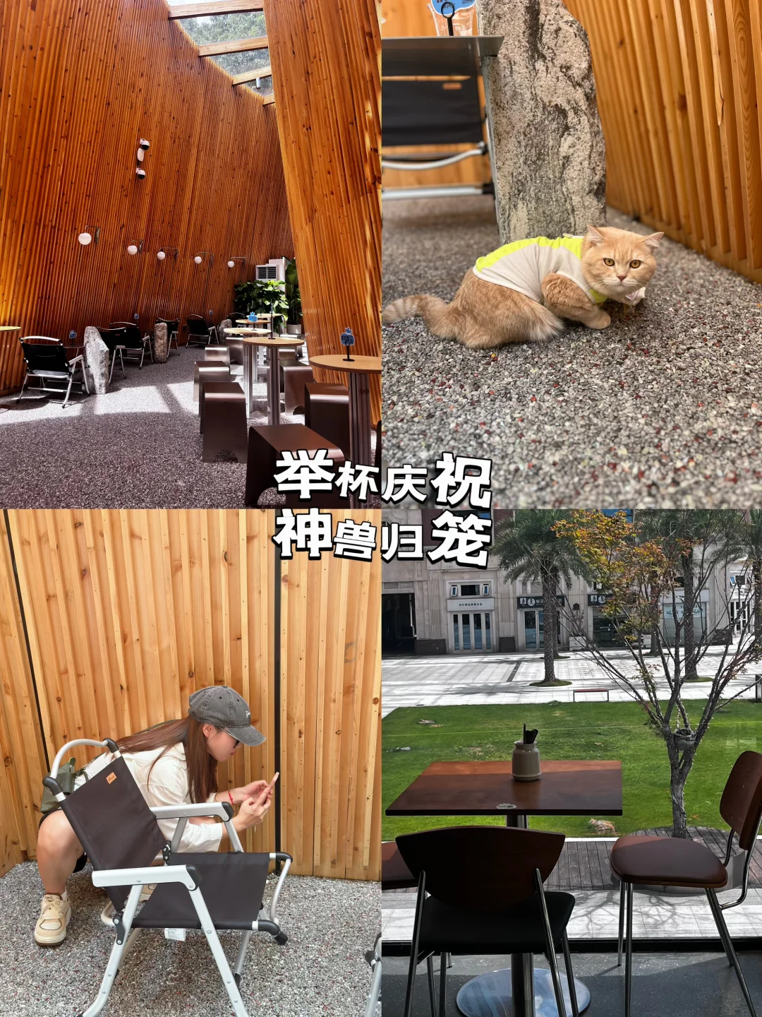 开学日的咖啡店 是妈妈们的“喘息基地”！