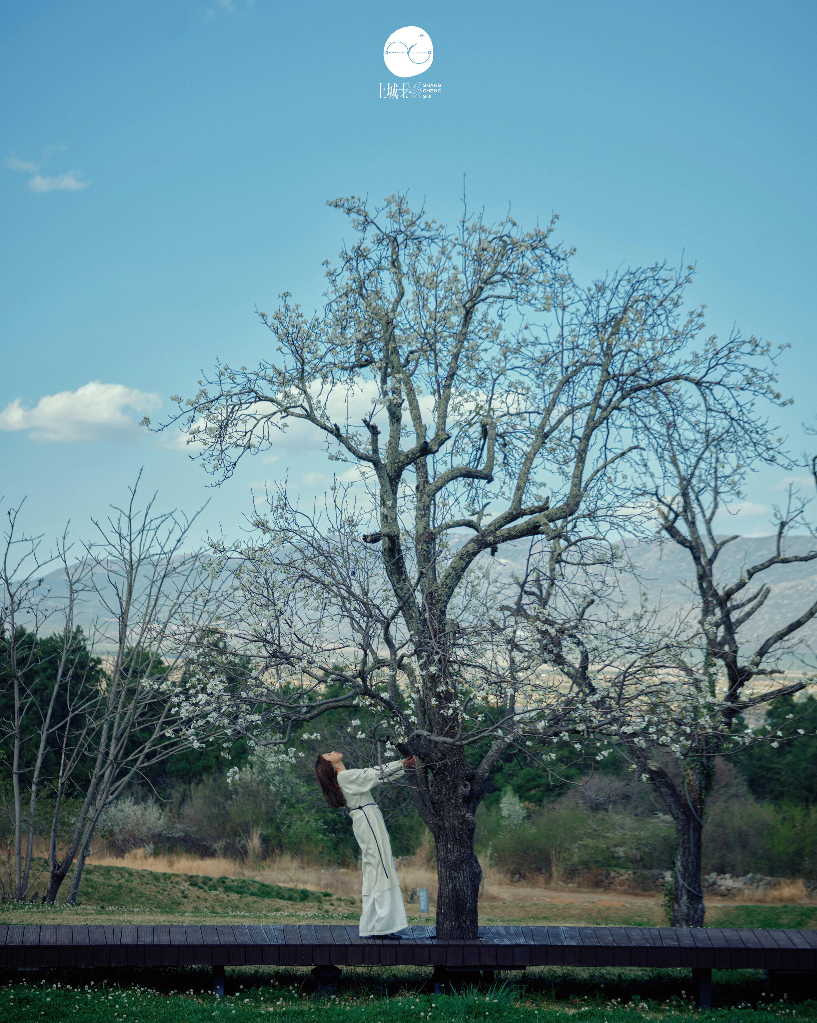 蔡健雅在丽江茶马古道的24小时 