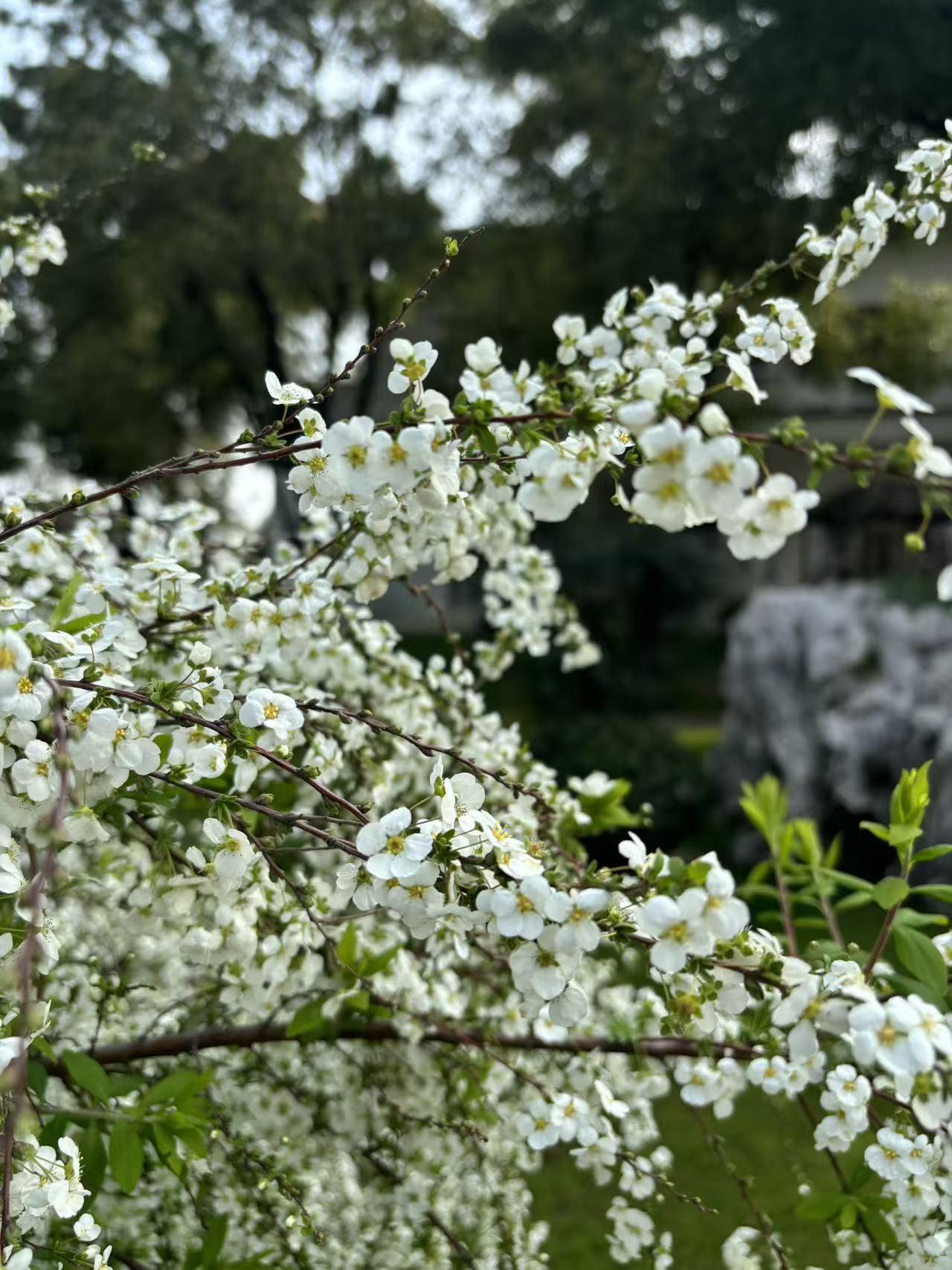一年后的自己，我想对你说

嘿，一年后的我，你还好吗？

写下这几个字的时候，窗