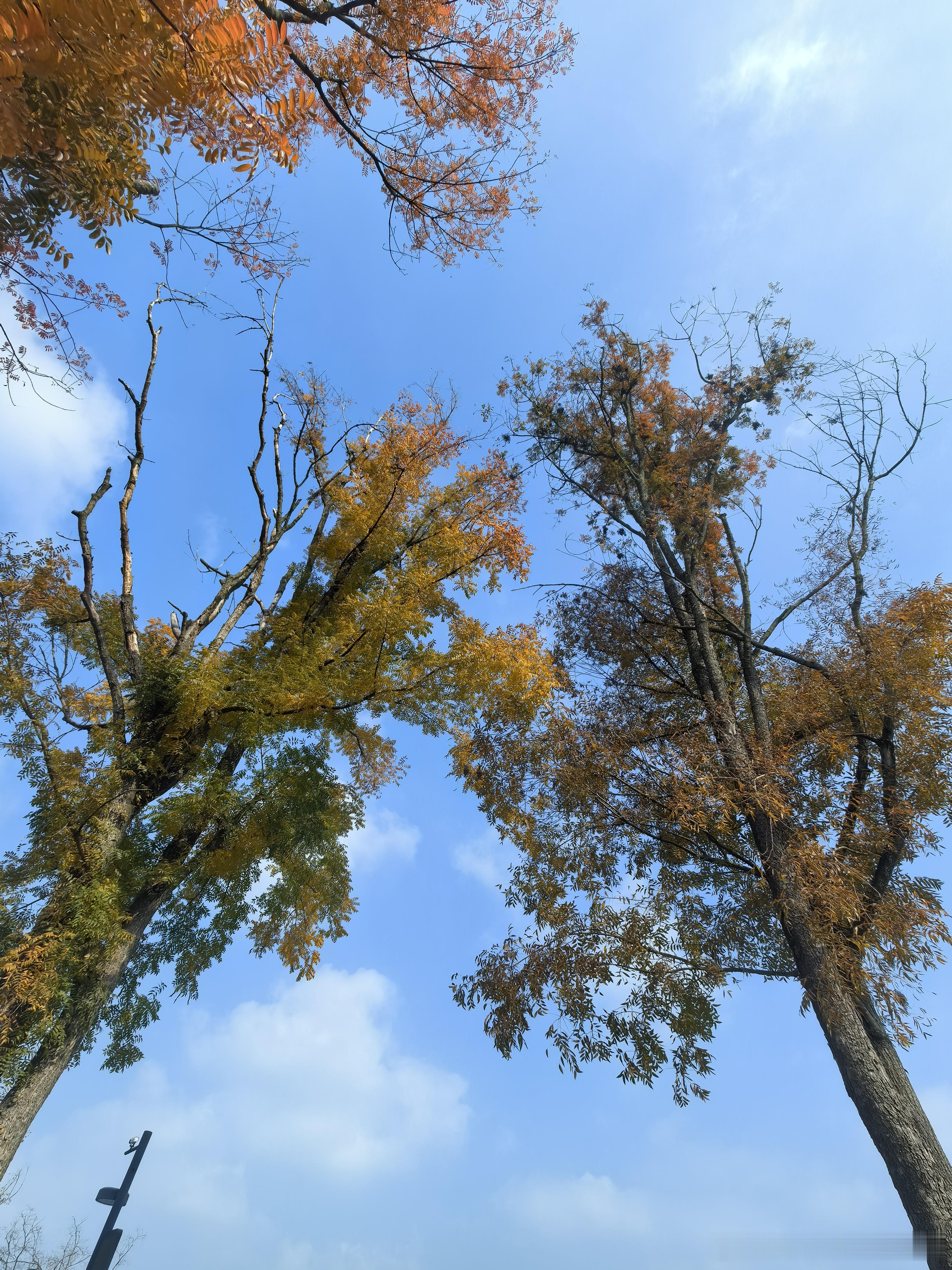 越检查屁事越多，屁事越多毛病越大，树欲静而风不止，风不止就药不能停，流年呀 