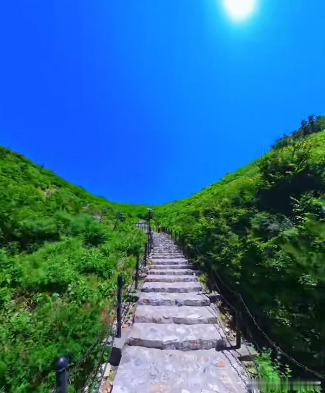 洋洋高锐’渡～己◎有时……梦不醒月亮……空悬在头顶◎灵魂……象鸟一直在飞一直寻找