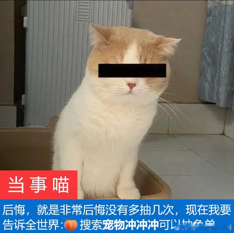 #淘宝宠物免单# 铲屎官们，淘宝免单活动有秘诀哦，整点试试手气，说不定就中奖了！