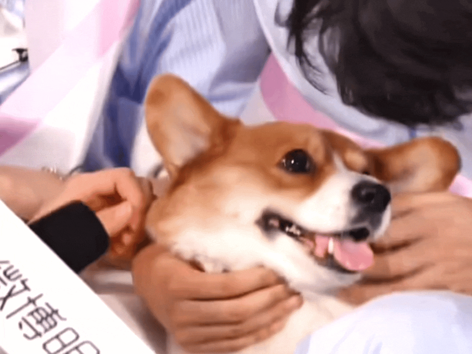 我👶🏻了… 