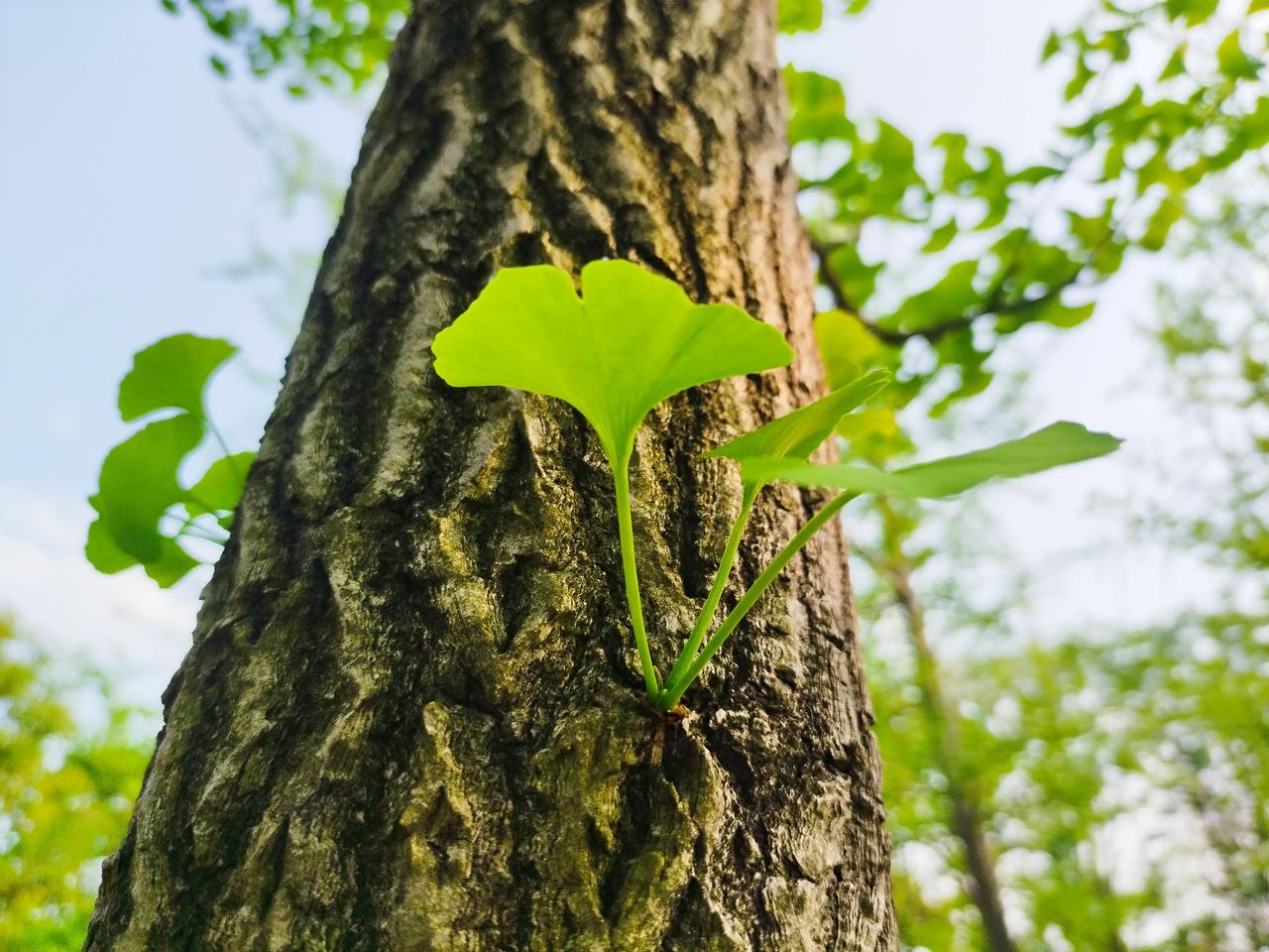 一人发表一句今天的感悟每天起床第一件事，先给自己打个气，开心快乐每一天，加油，努