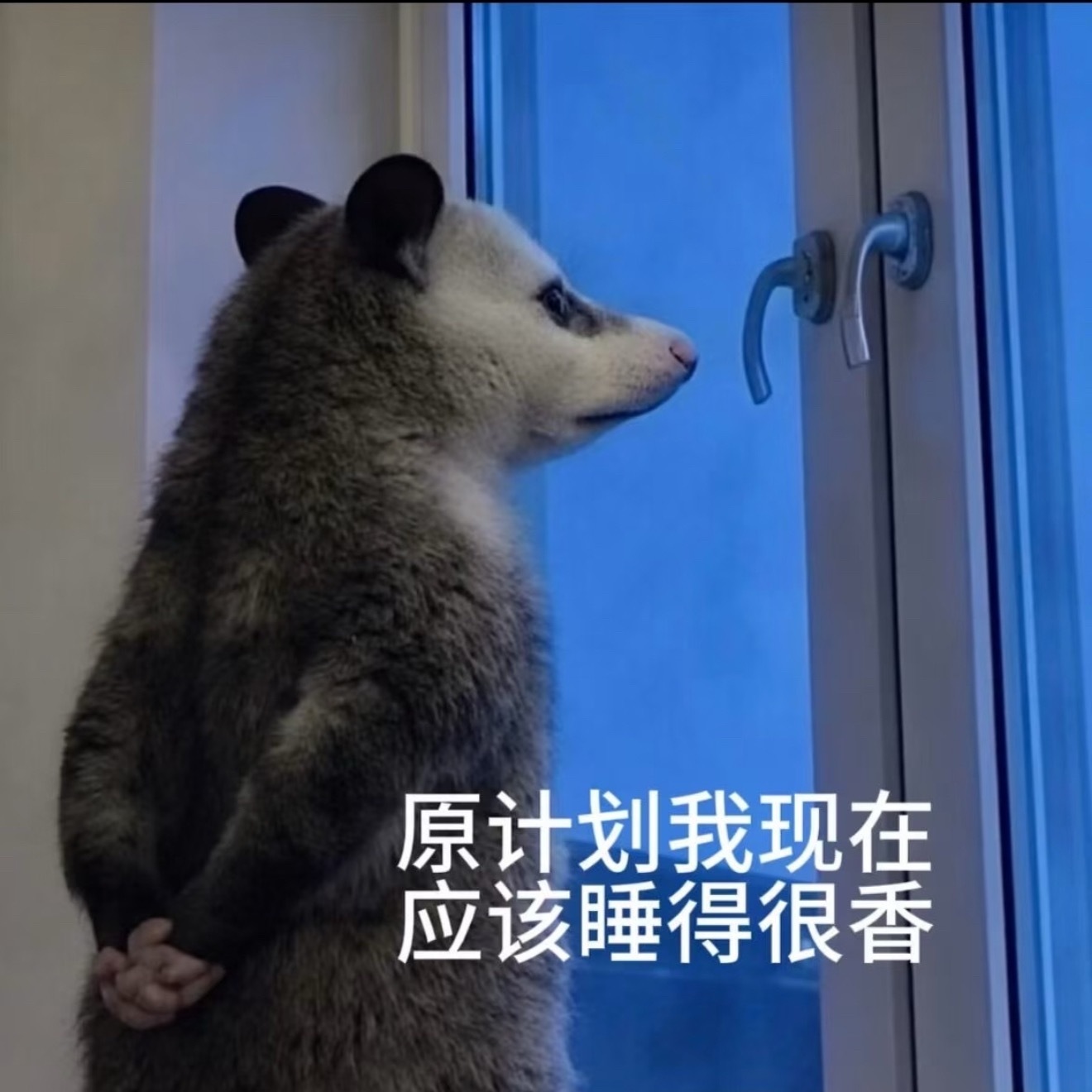 翻来覆去睡不着 突然意识到 下午锻炼时喝了杯一升的美式 ​​​