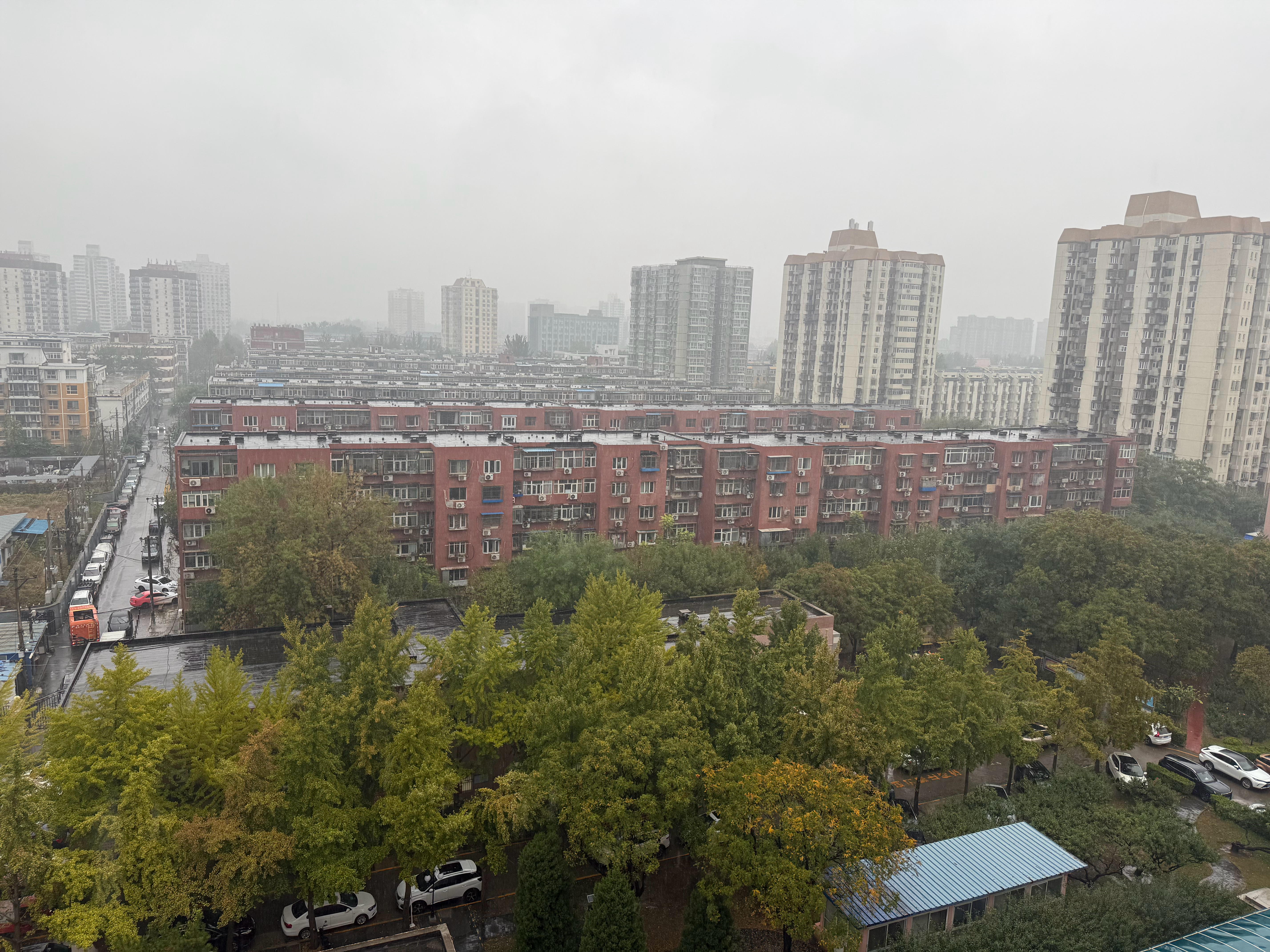 北京下了一天的雨，银杏树开始变黄了，等银杏叶落光冬天就来了，秋天就是这么短暂，关