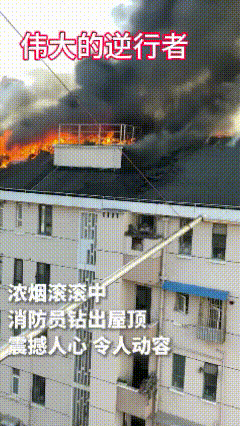 浓烟中的一抹光……致敬最美逆行者！


上帝不会救你，但消防员一定会！
浓烟滚滚