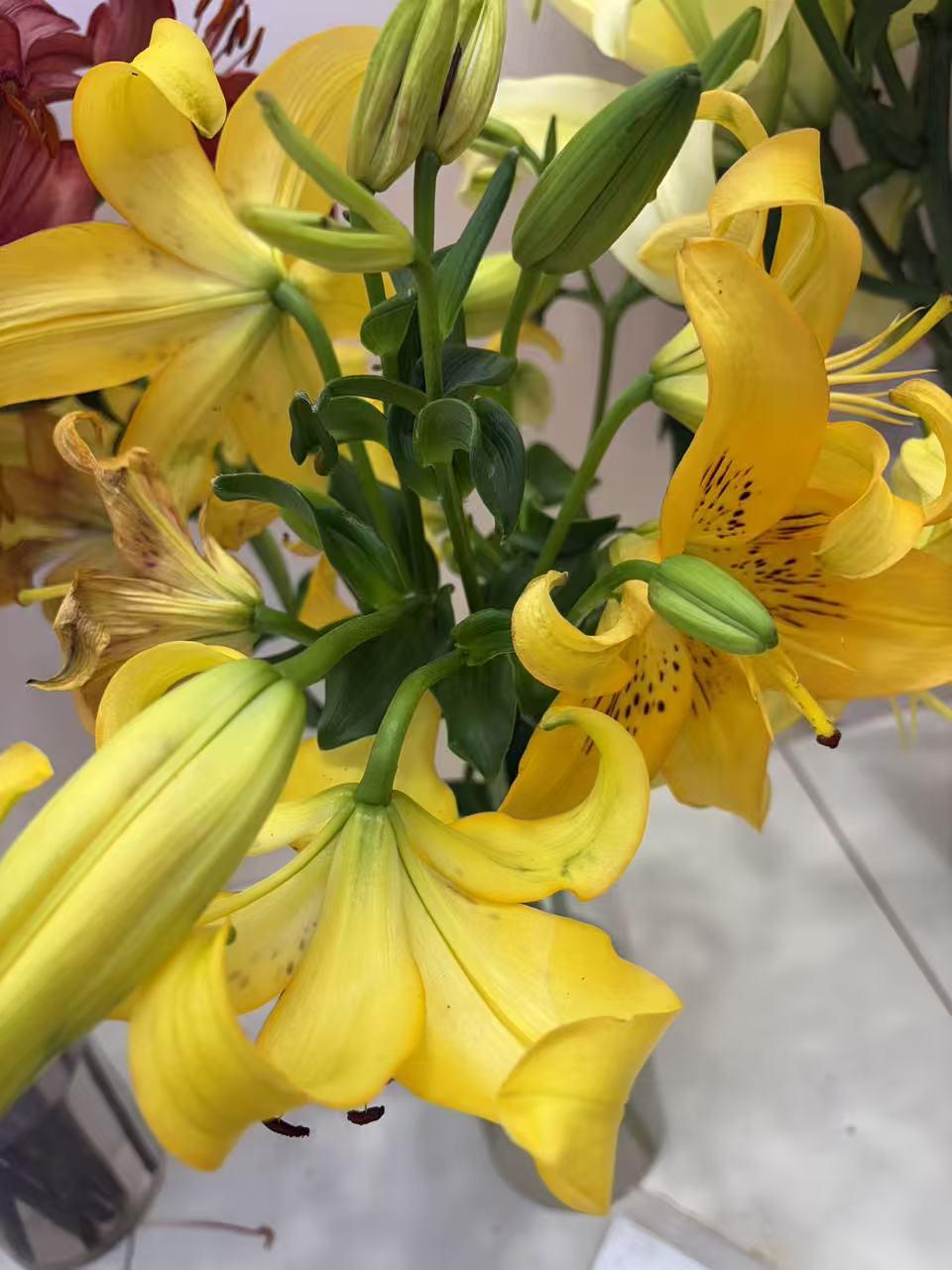 现在背井离乡的年轻人很多，当然遇到的挫折也很多，但当你迈出那一步的时候就应该想到